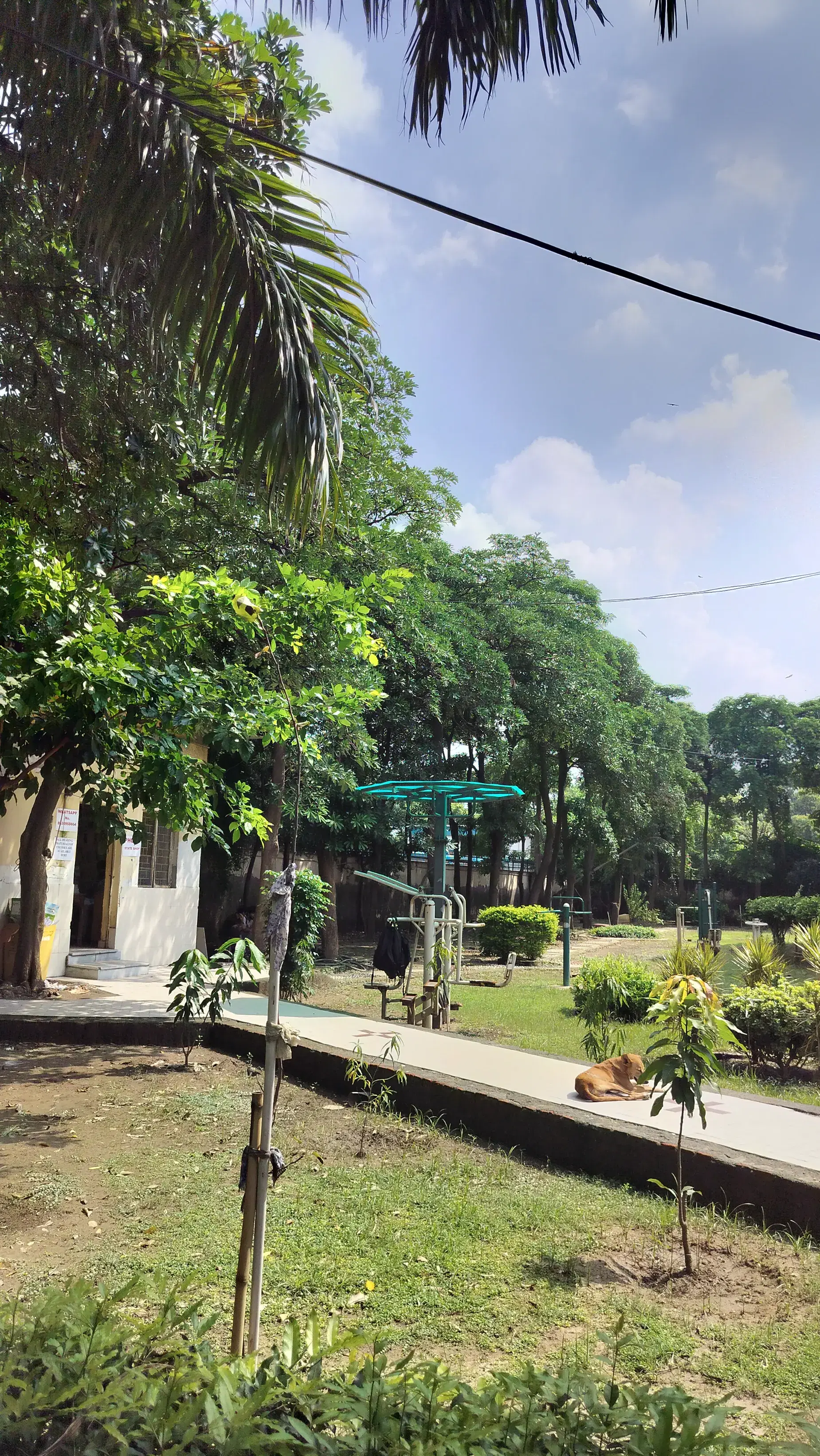 Dr. Bhim Rao Ambedkar College Sports photo 5