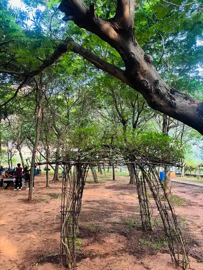 GITAM School of Architecture Visakhapatnam Park photo 1