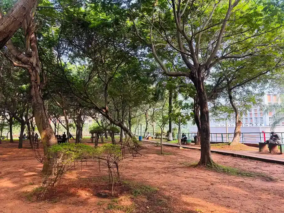 GITAM School of Architecture Visakhapatnam Park photo 2