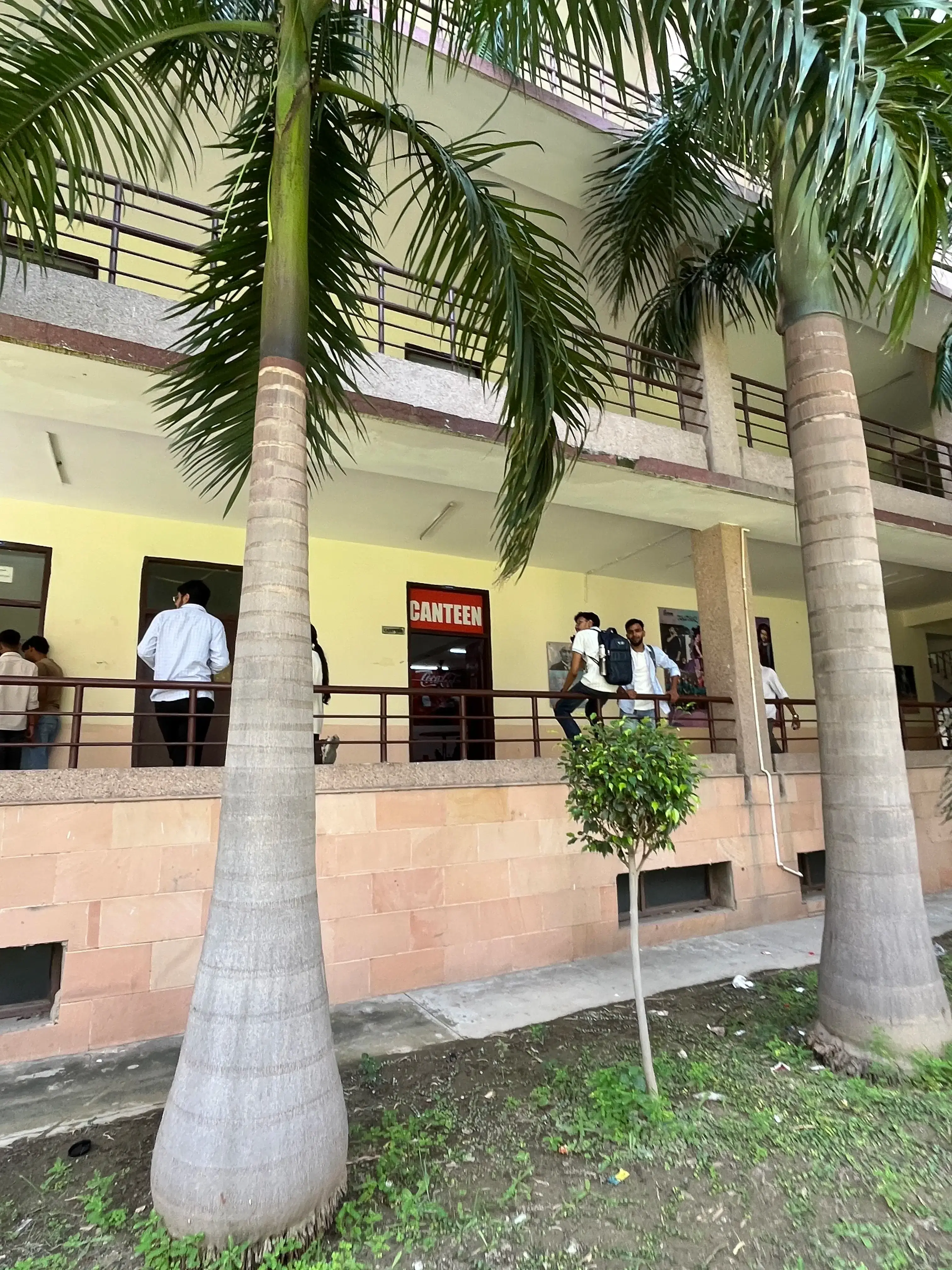 JIMS Noida Canteen photo 1
