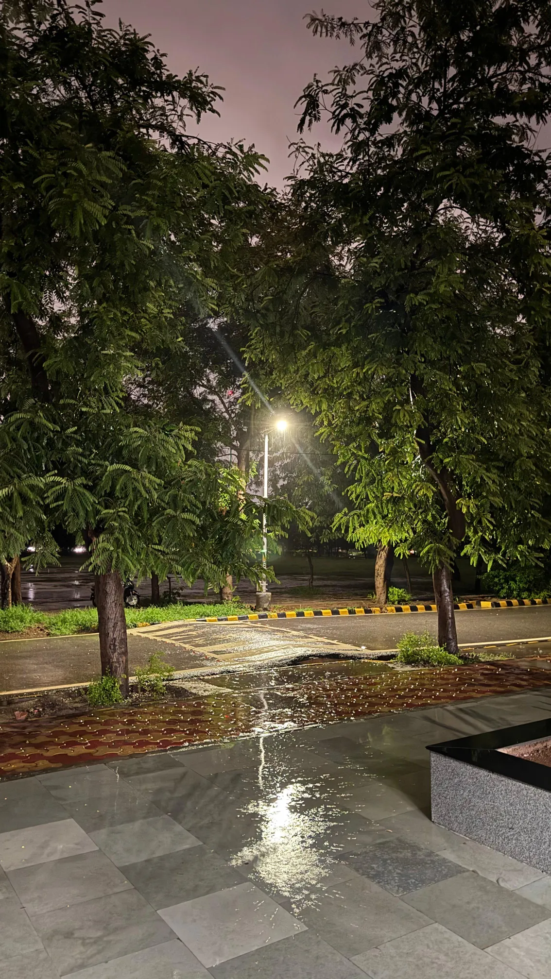 NSUT West Campus Campus photo 6