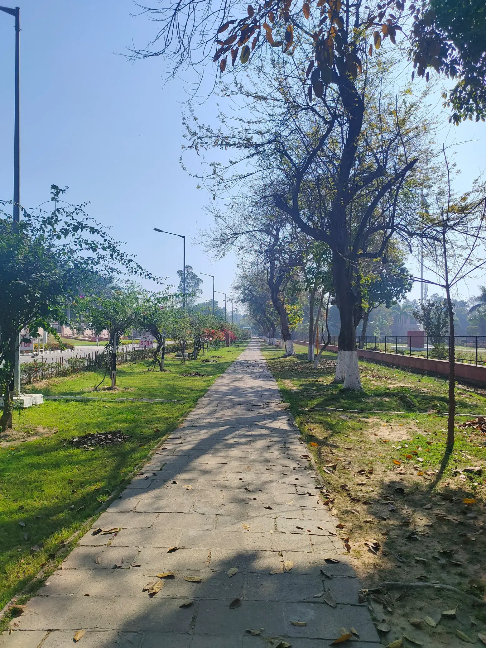 NIT Kurukshetra Campus photo 6