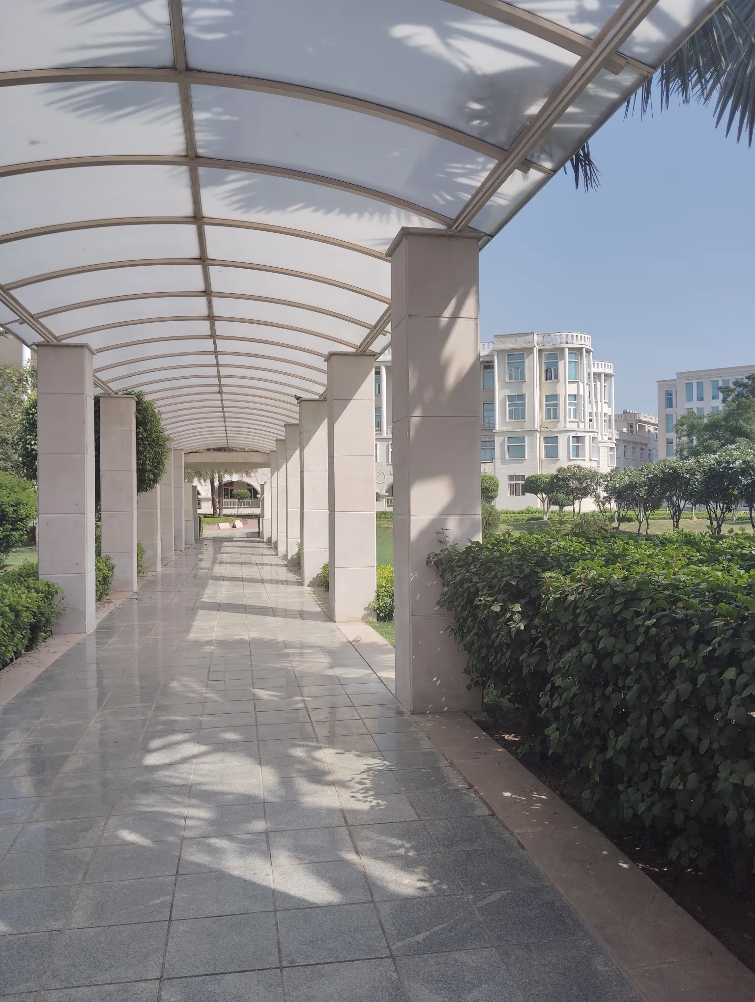 NIU Noida Campus photo 28