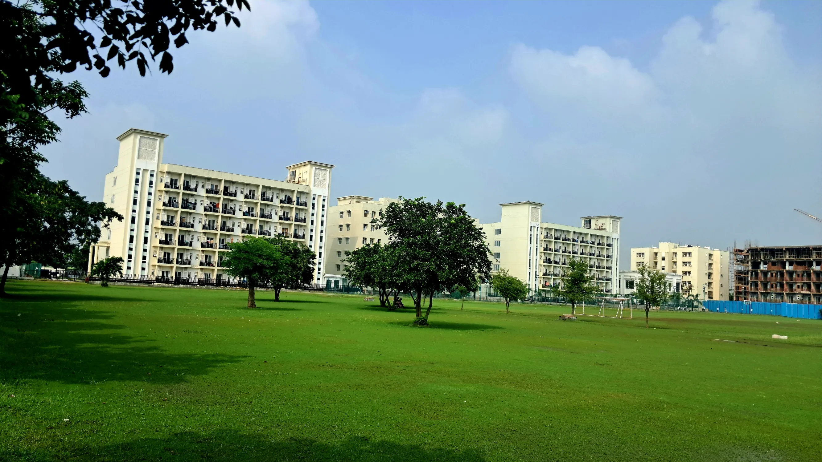 NIU Noida Campus photo 34