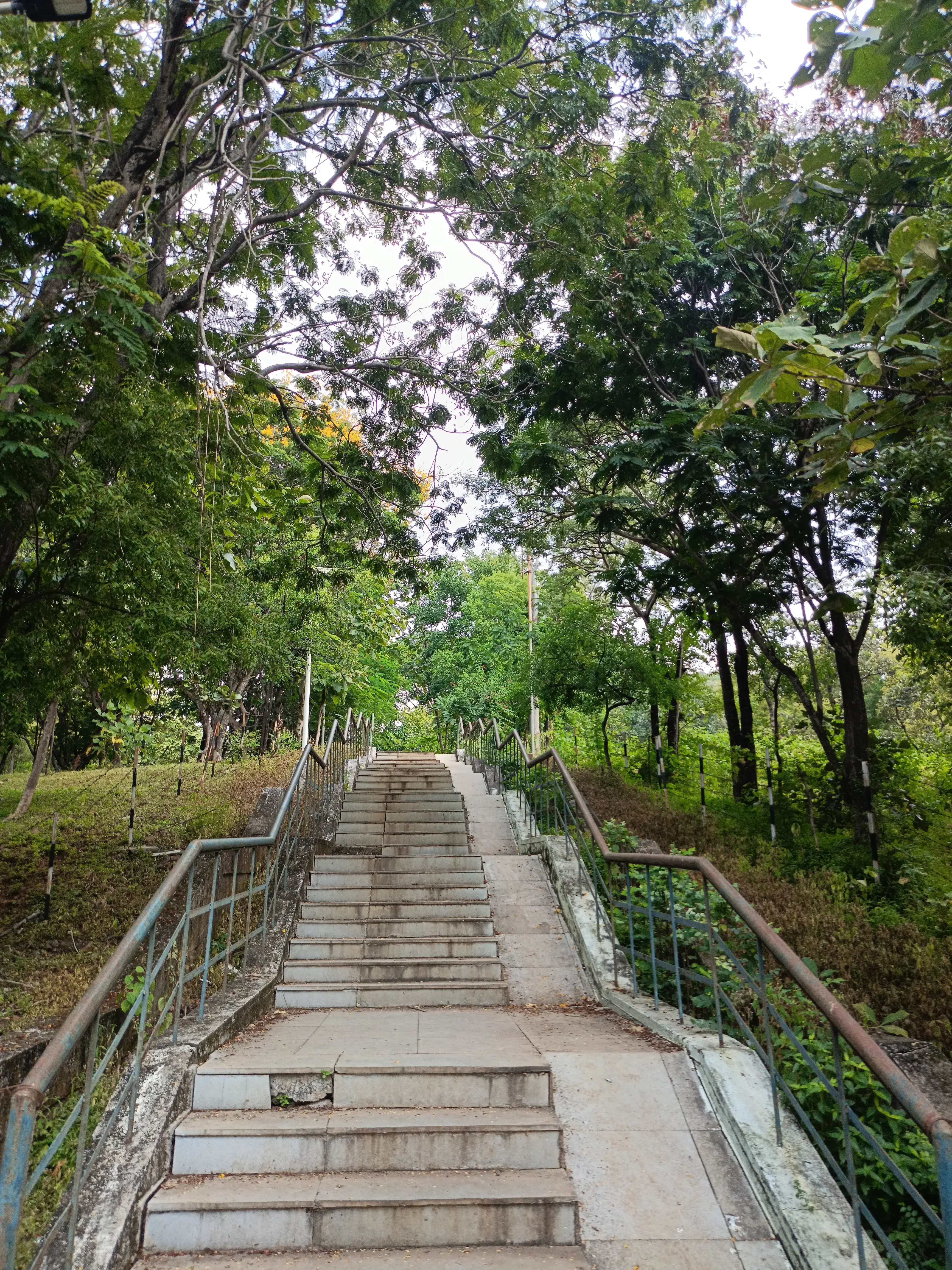 Dr. Hari singh Gour University Sagar Campus photo 6