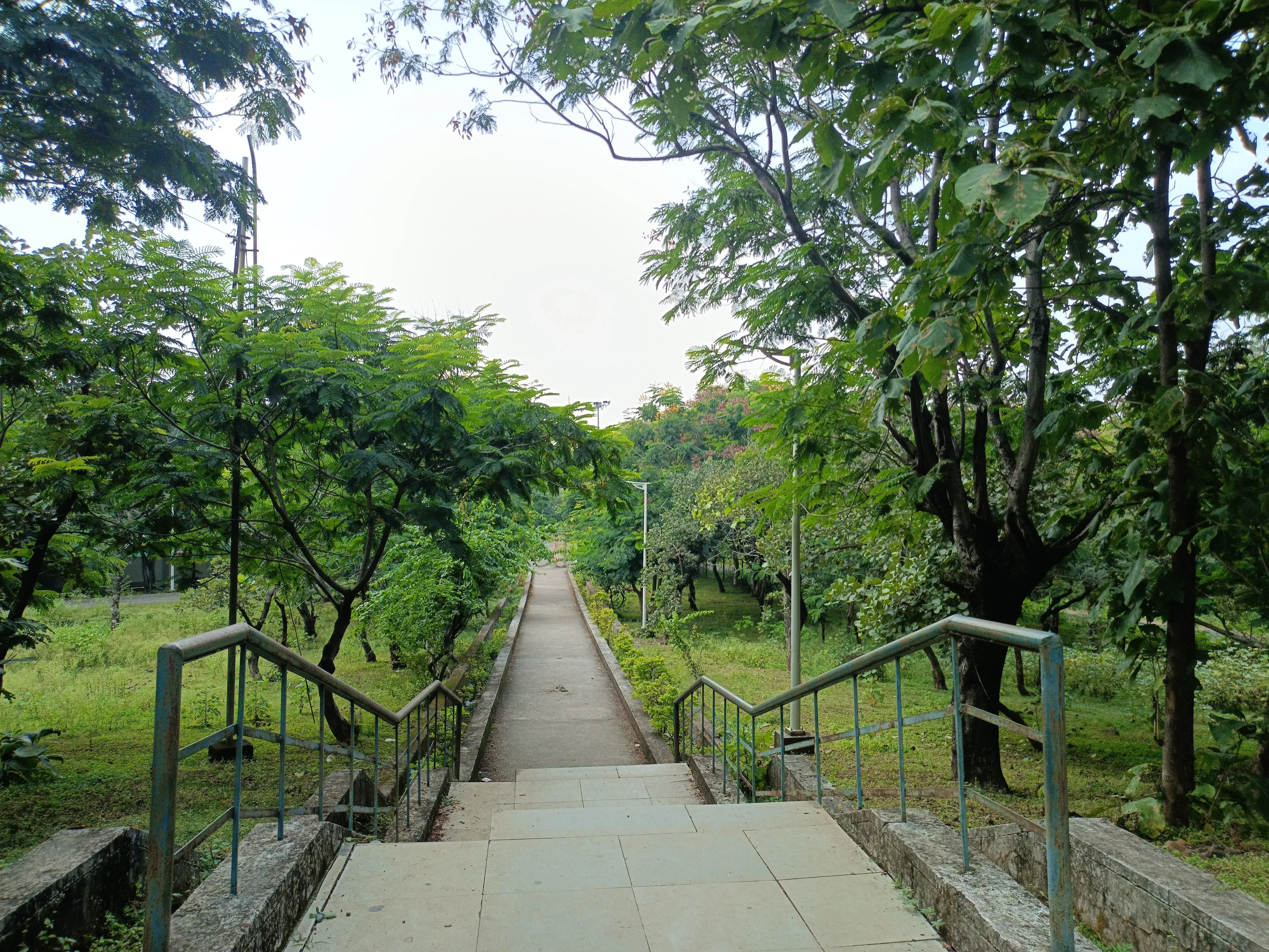 Dr. Hari singh Gour University Sagar Campus photo 7