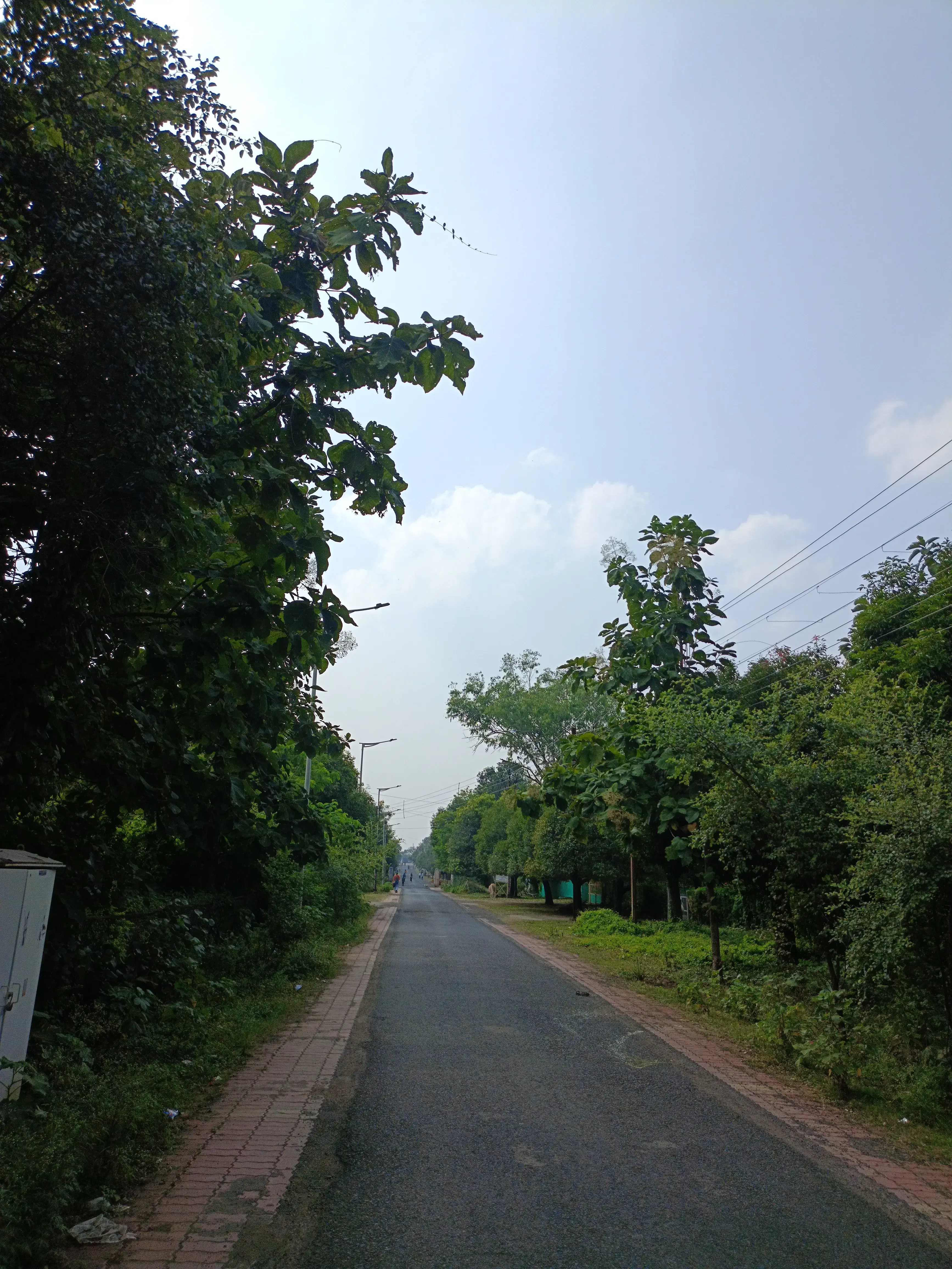 Dr. Hari singh Gour University Sagar Campus photo 8