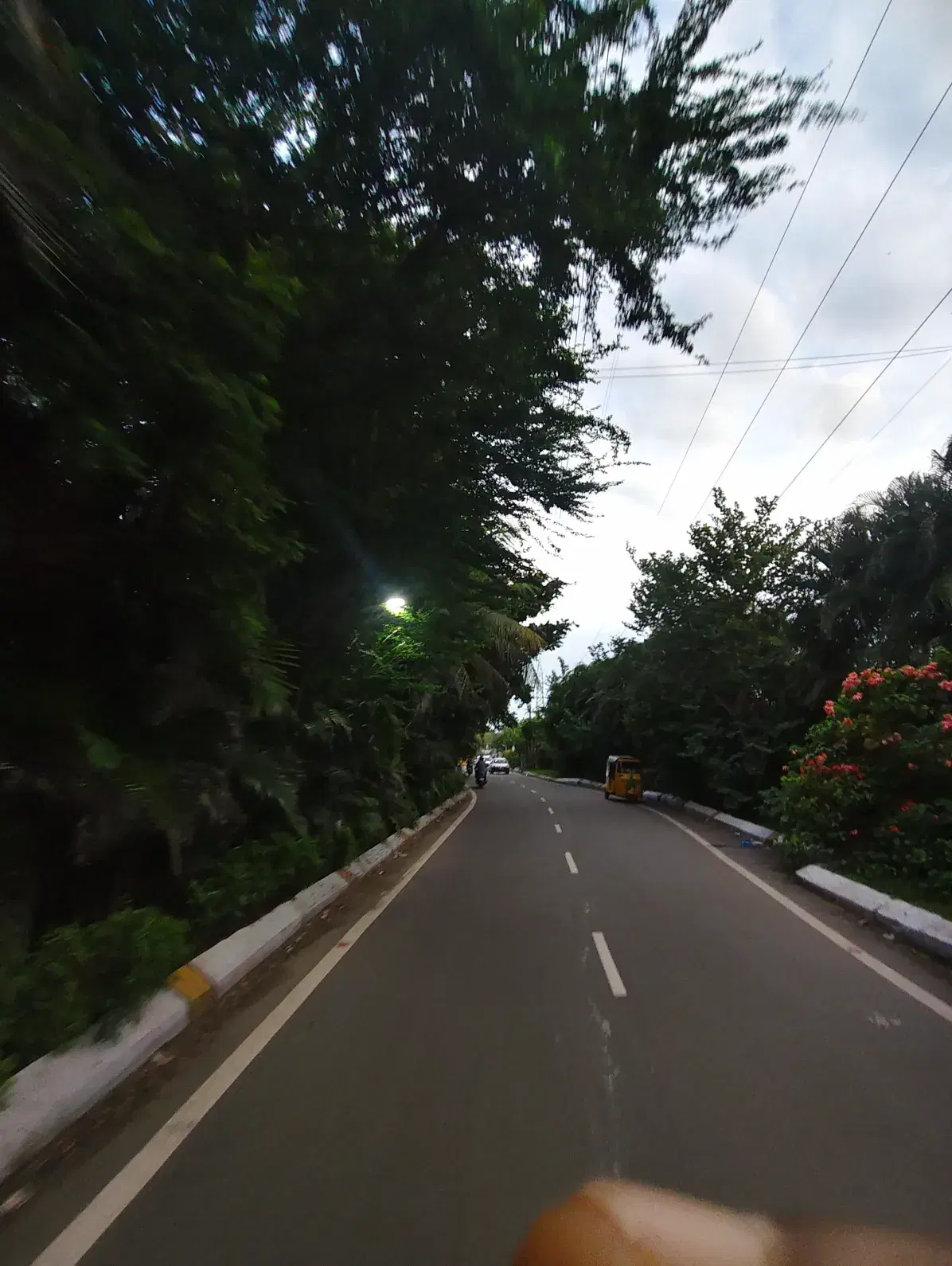 SRM University Chennai Campus photo 17