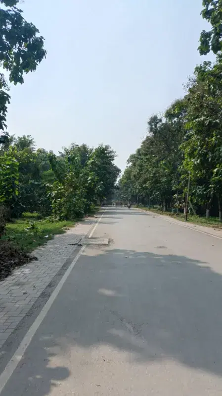 IIT BHU Campus photo 44