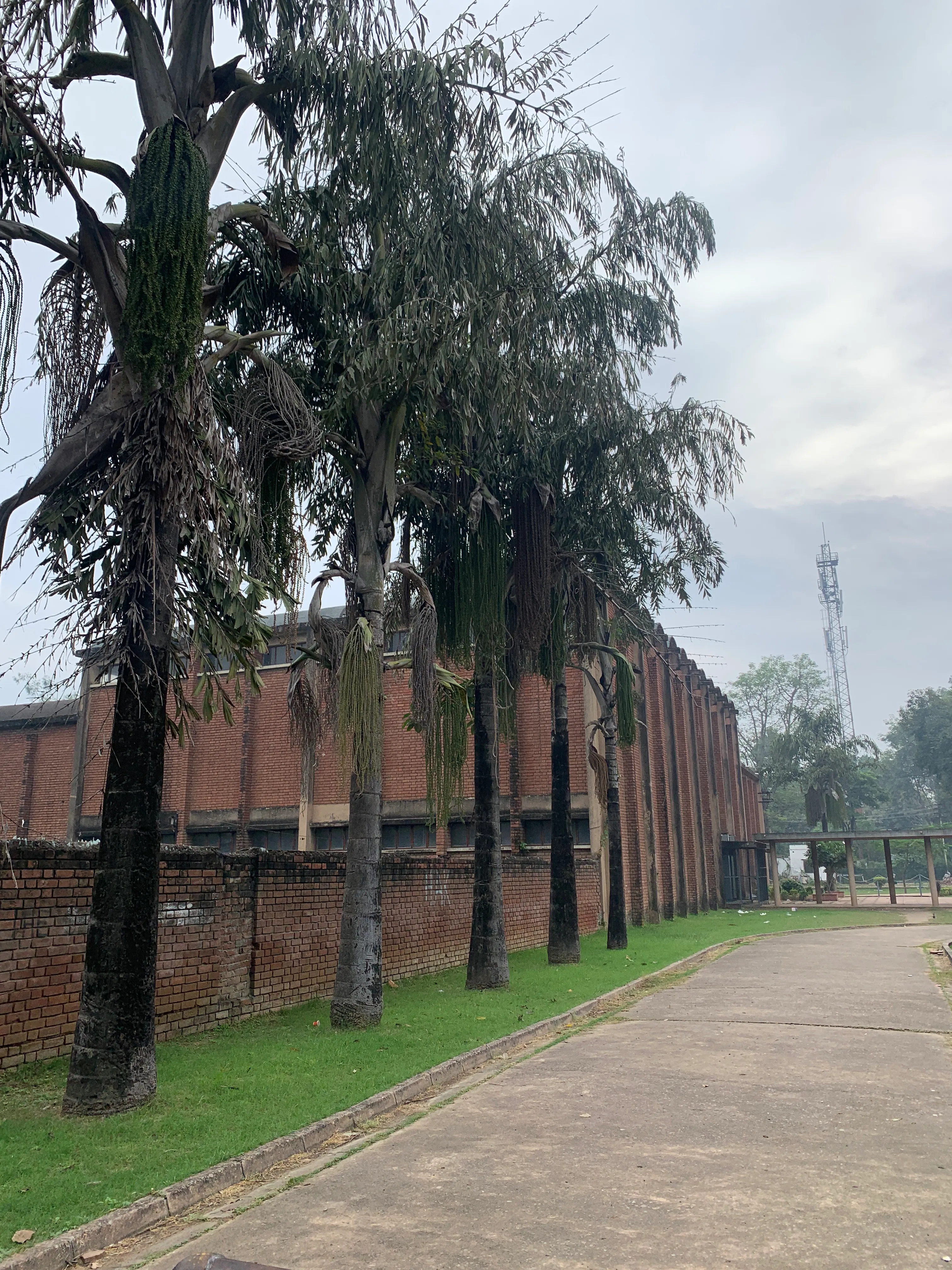 AMU Campus photo 22