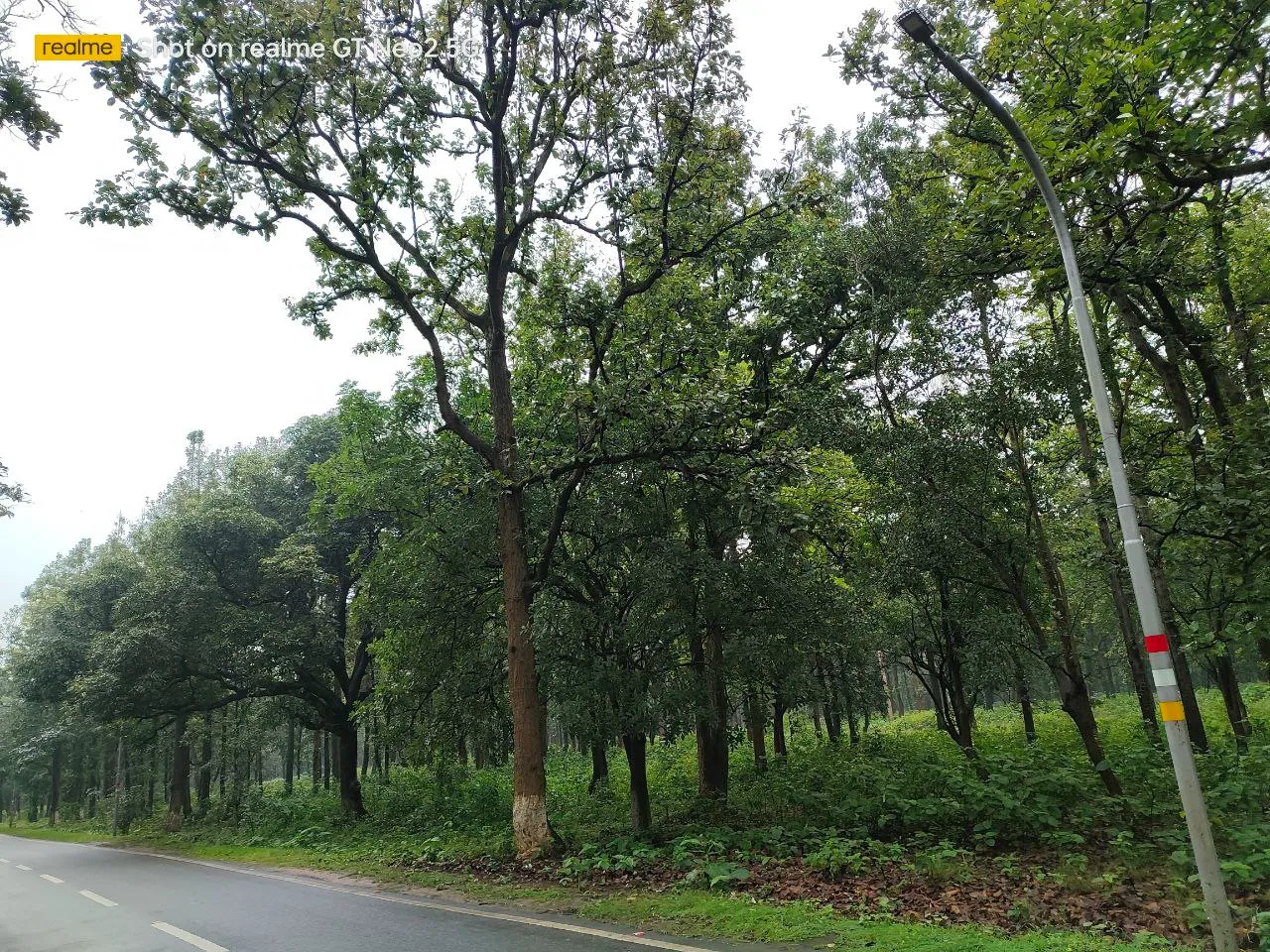 BIT Mesra Campus photo 11