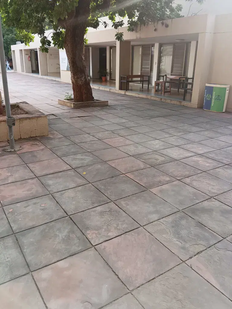 PDEU Campus photo 15