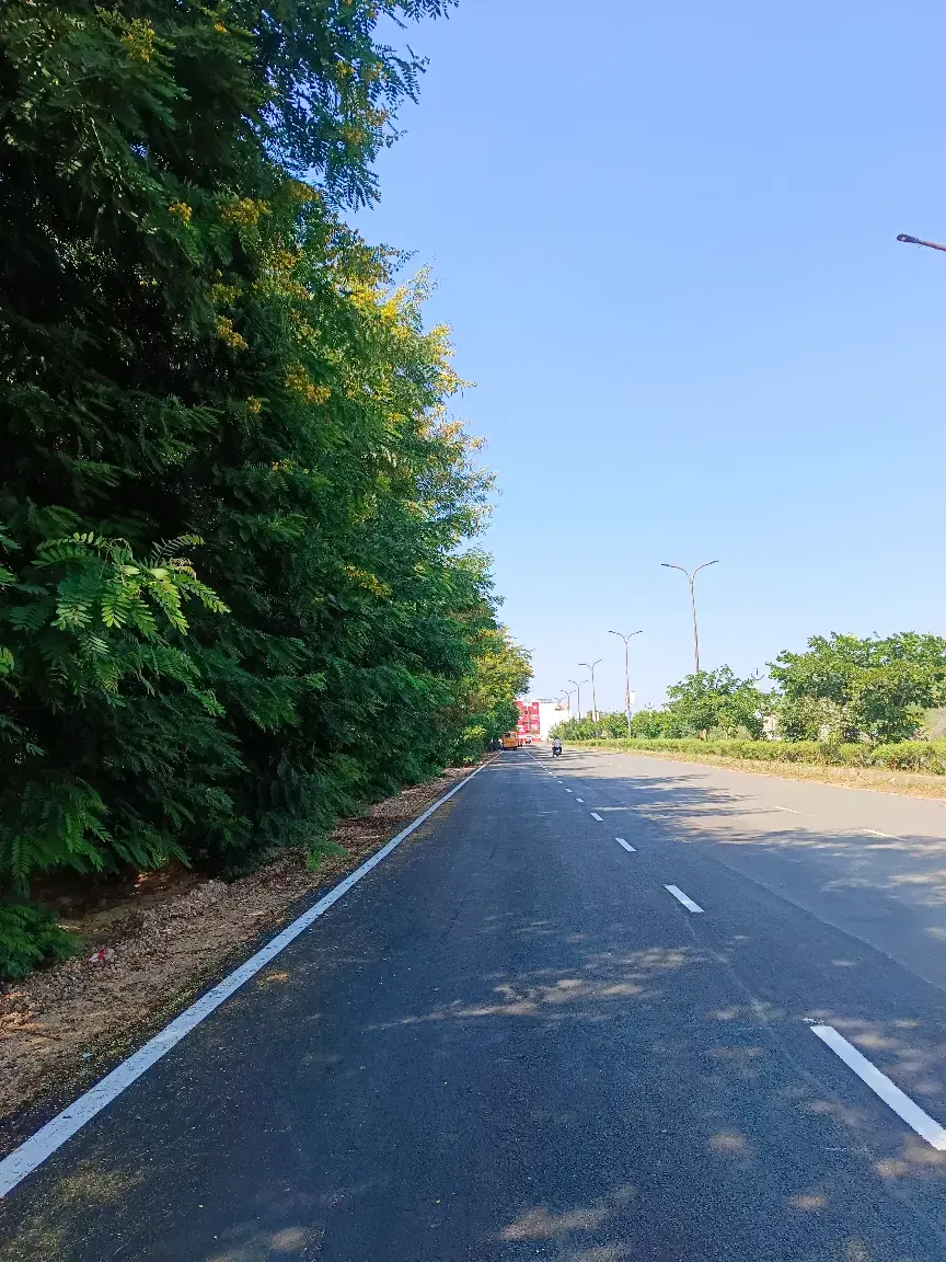 VGU Jaipur Campus photo 16