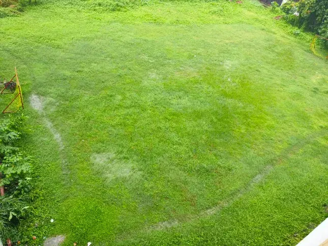 RCC Institute Of Information Technology Sports photo 10