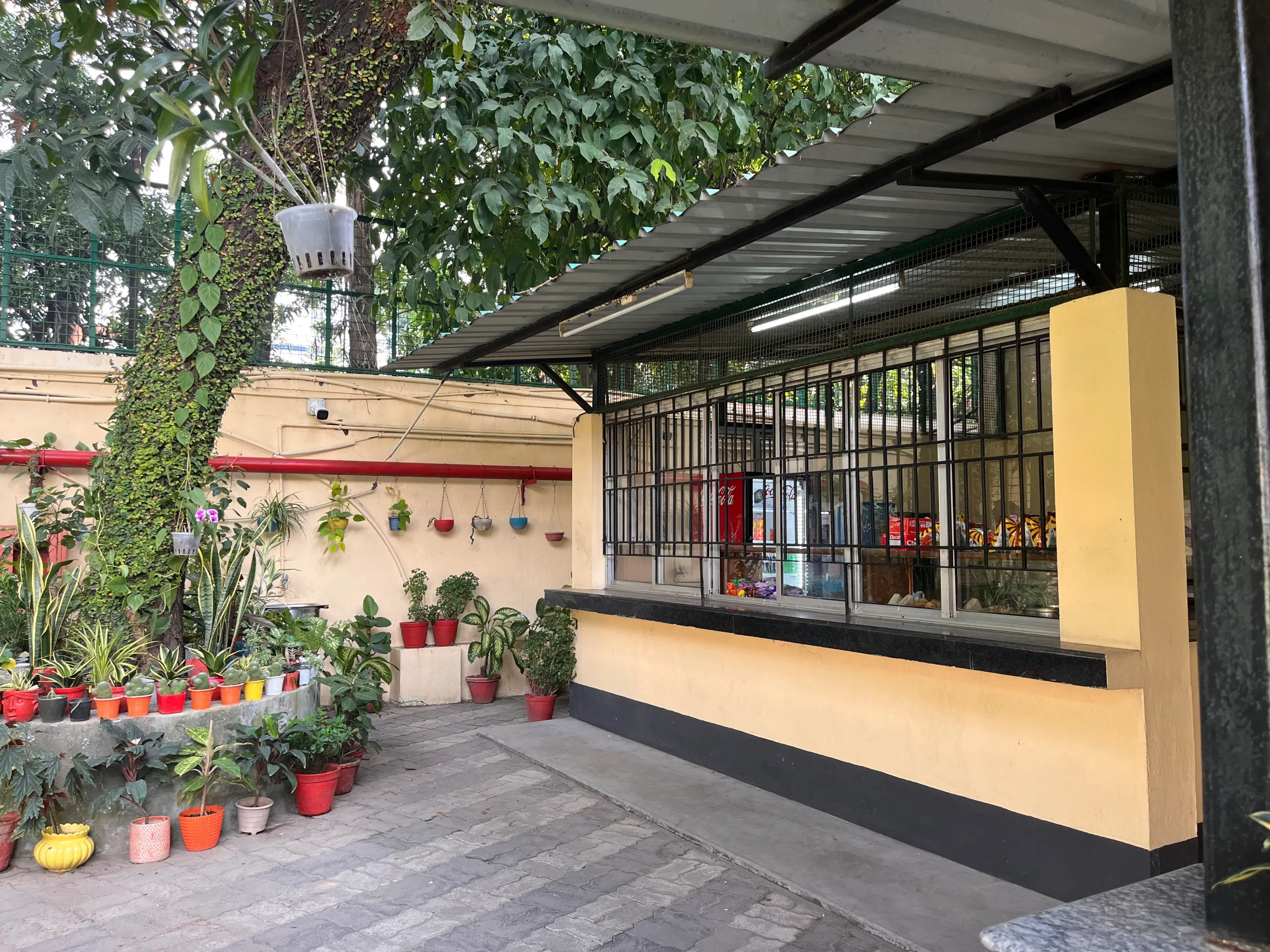 ST Xavier's Kolkata Canteen photo 1