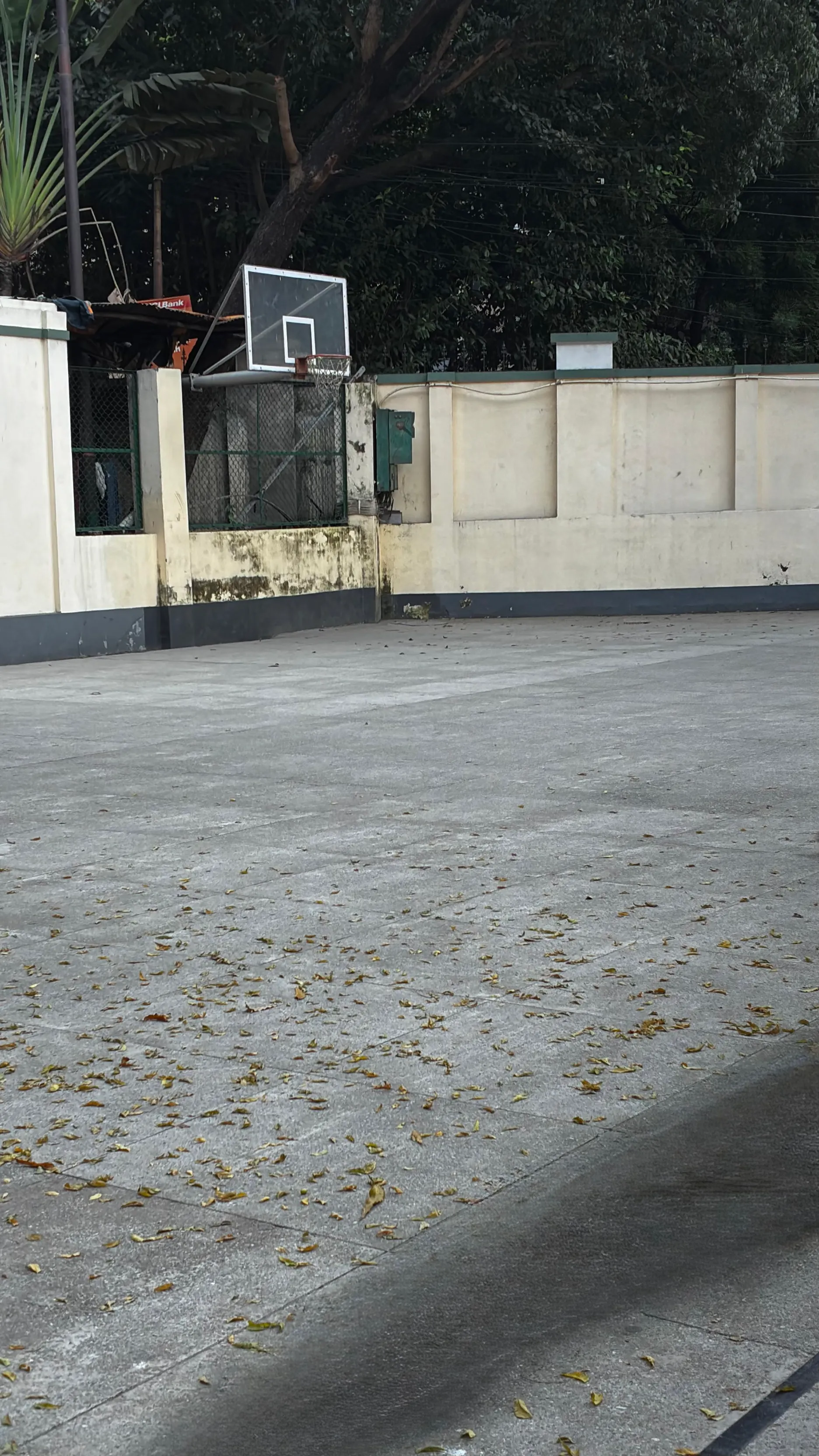 ST Xavier's Kolkata Sports photo 7