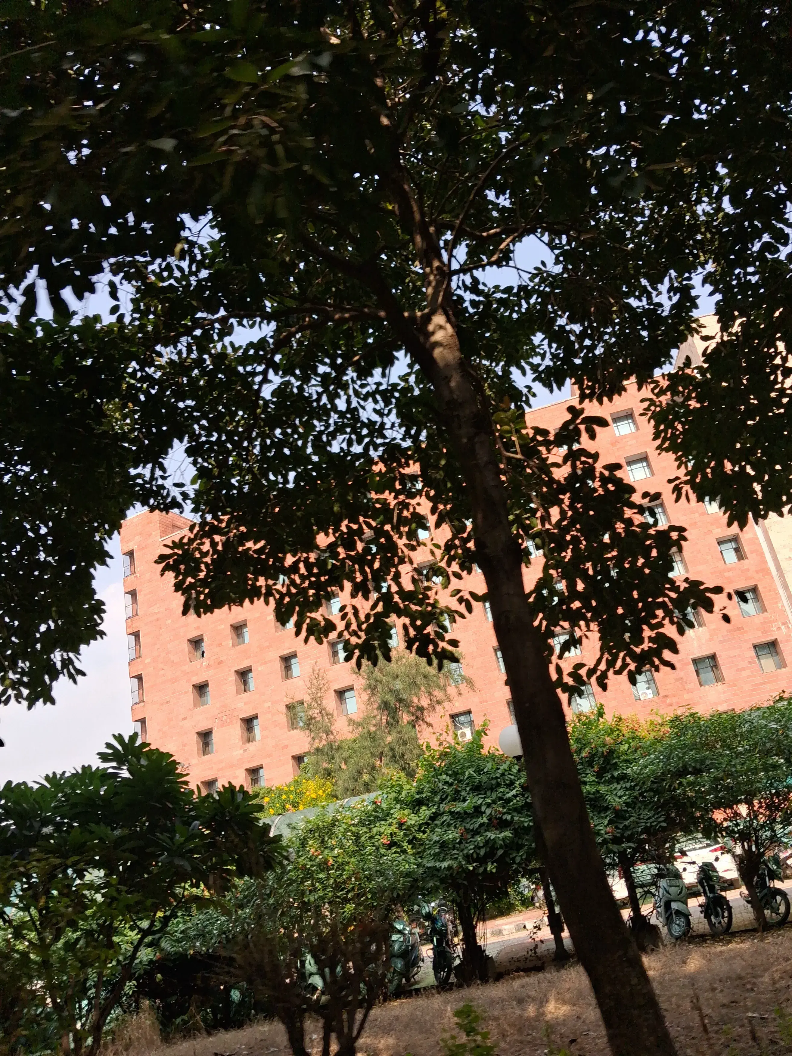 I.K. Gujral Punjab Technical University Jalandhar Campus photo 11