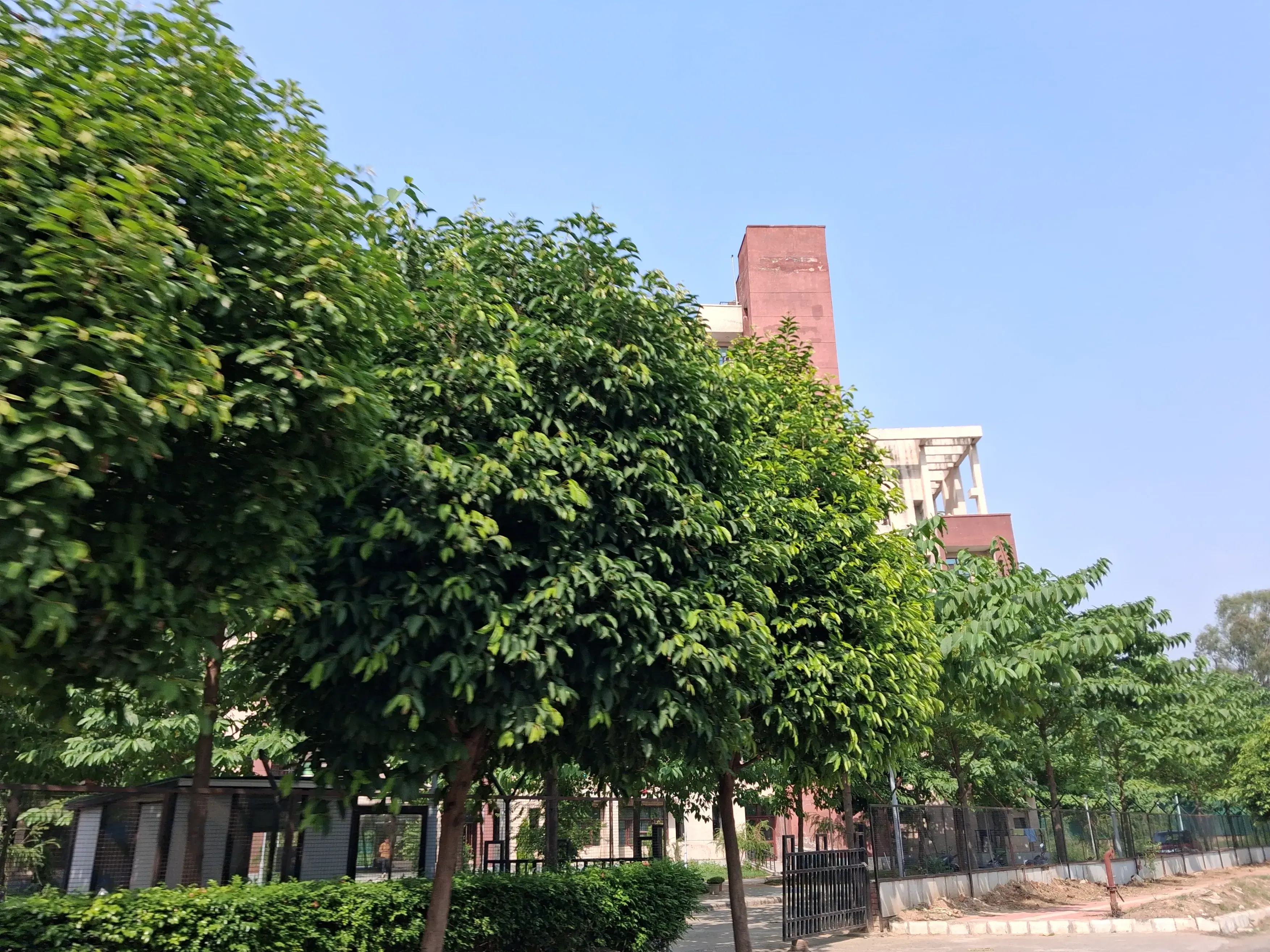 I.K. Gujral Punjab Technical University Jalandhar Campus photo 17