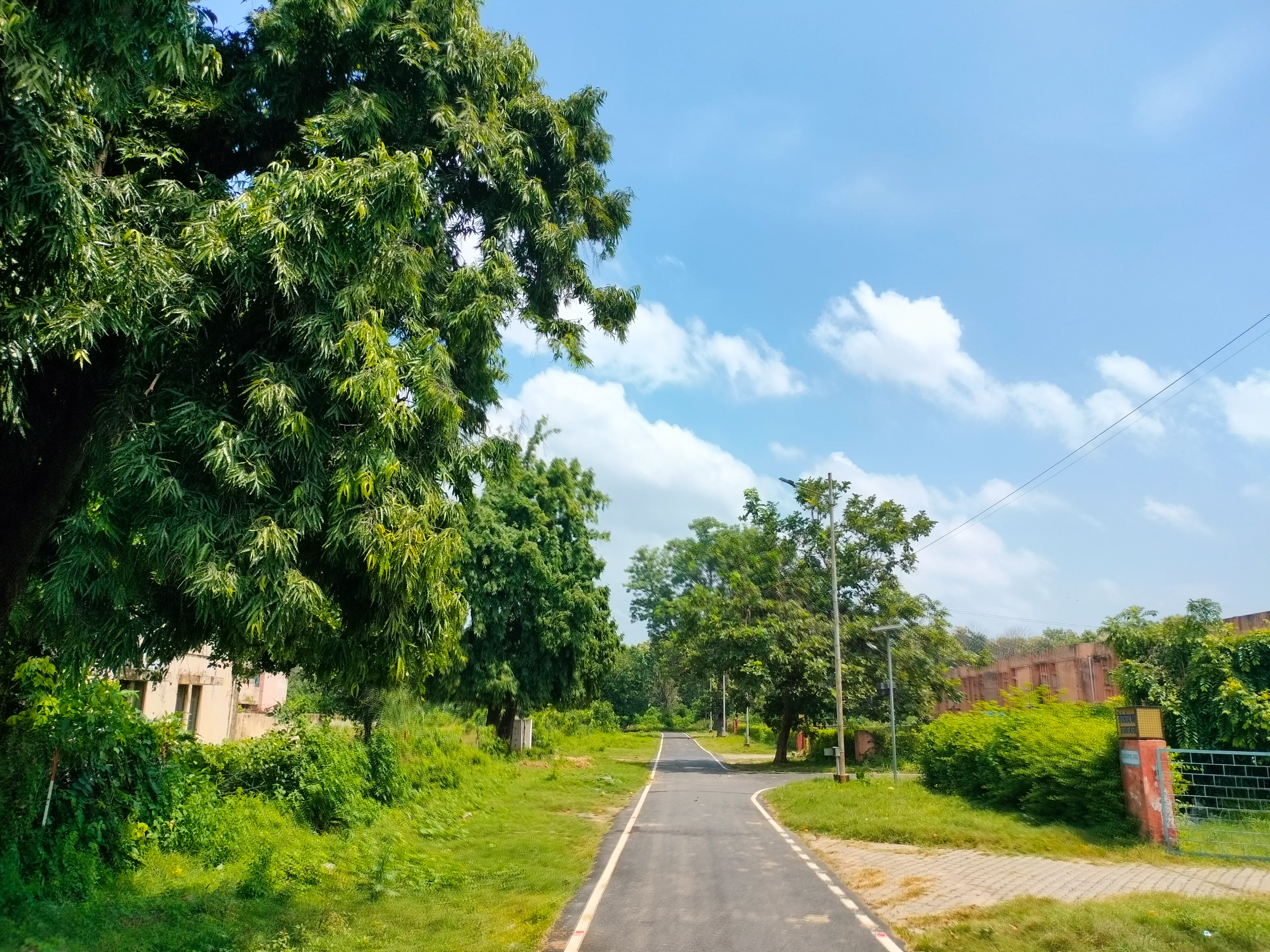 MMMUT Campus photo 12