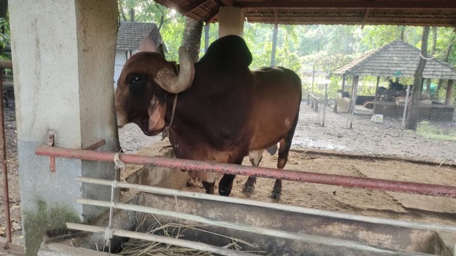 MKES Institute of Management Studies and Research Mumbai Activities photo 25