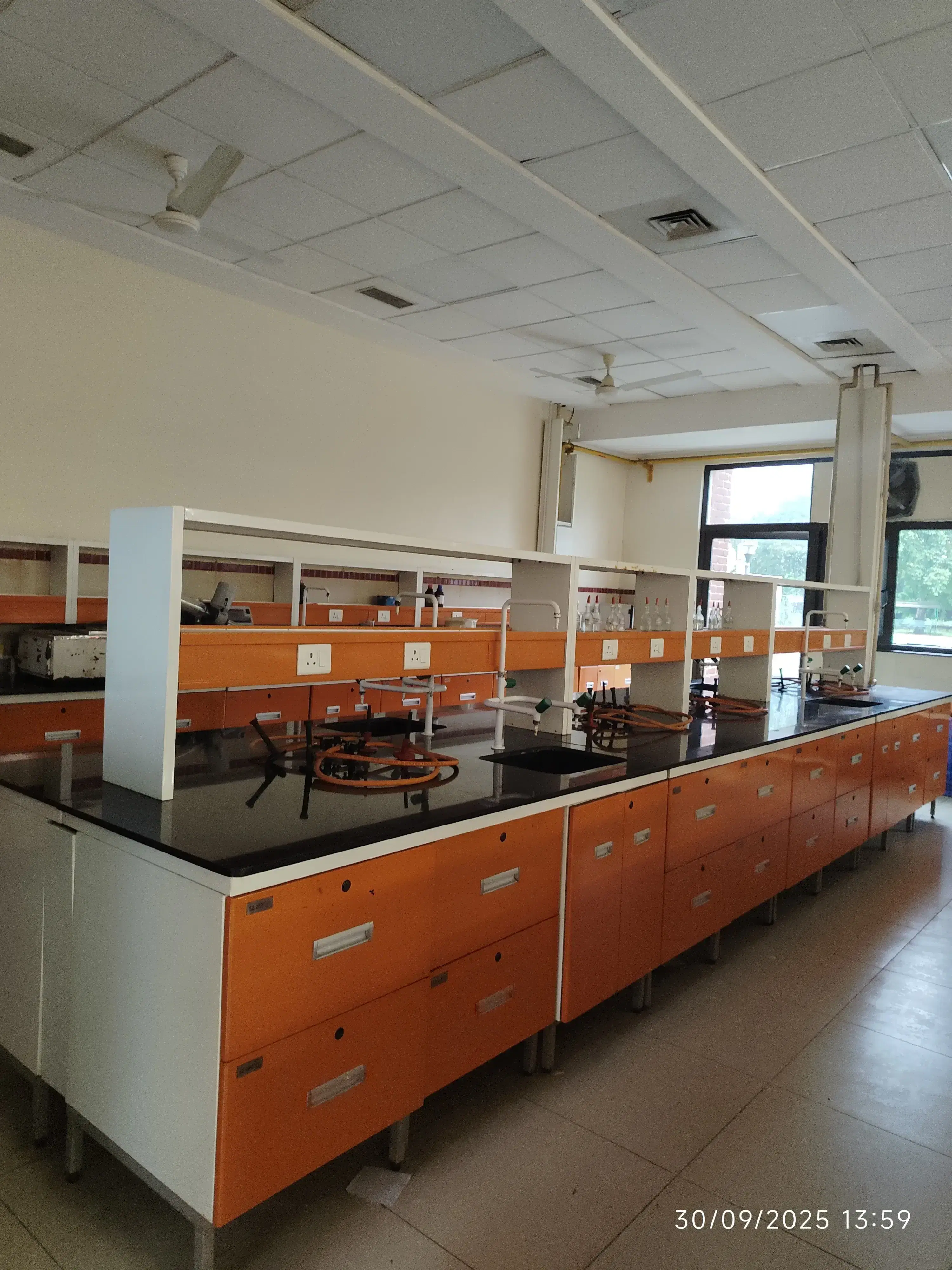 Miranda House Campus photo 49