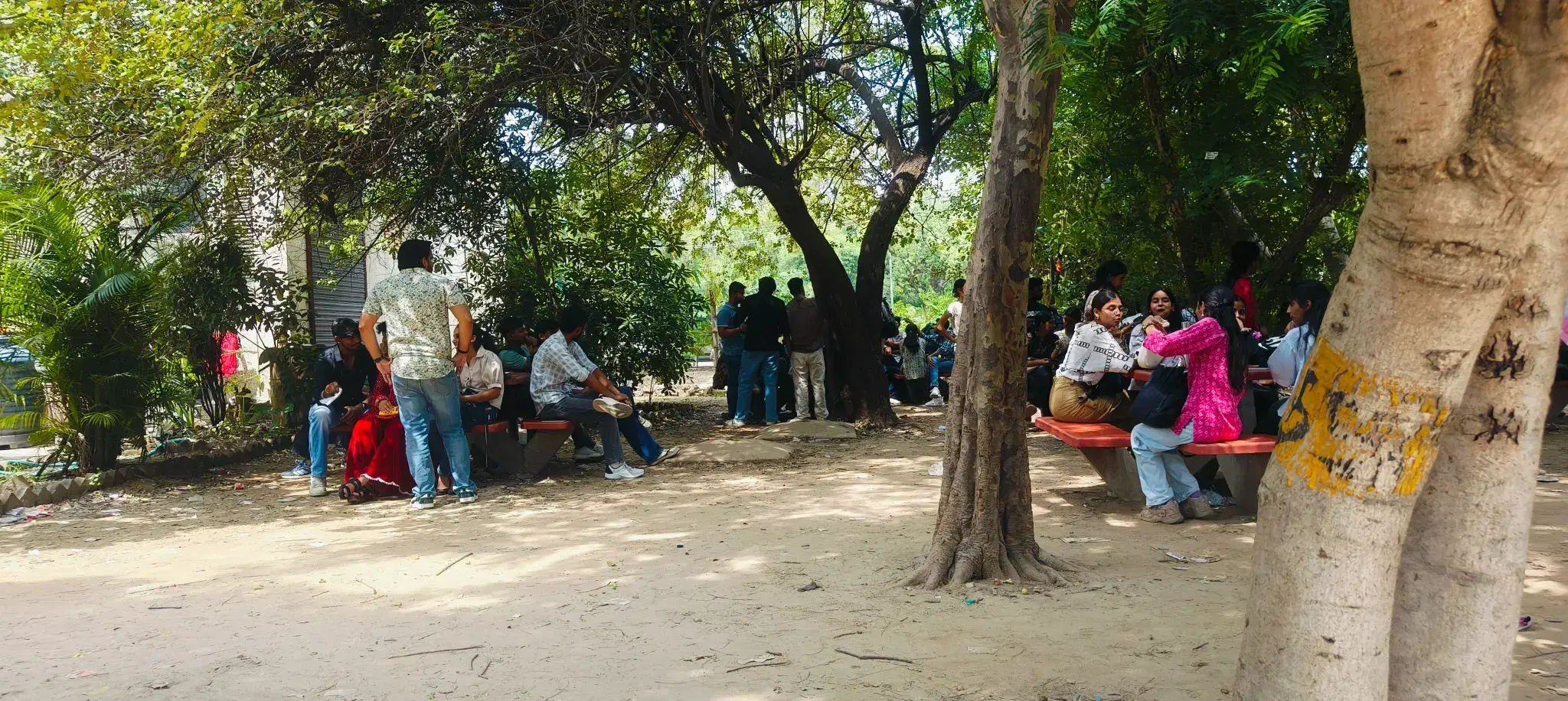 Dyal Singh College Canteen photo 3