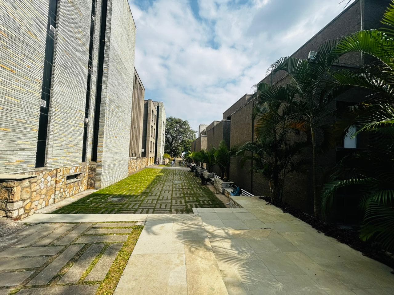 UPES Academic building photo 7