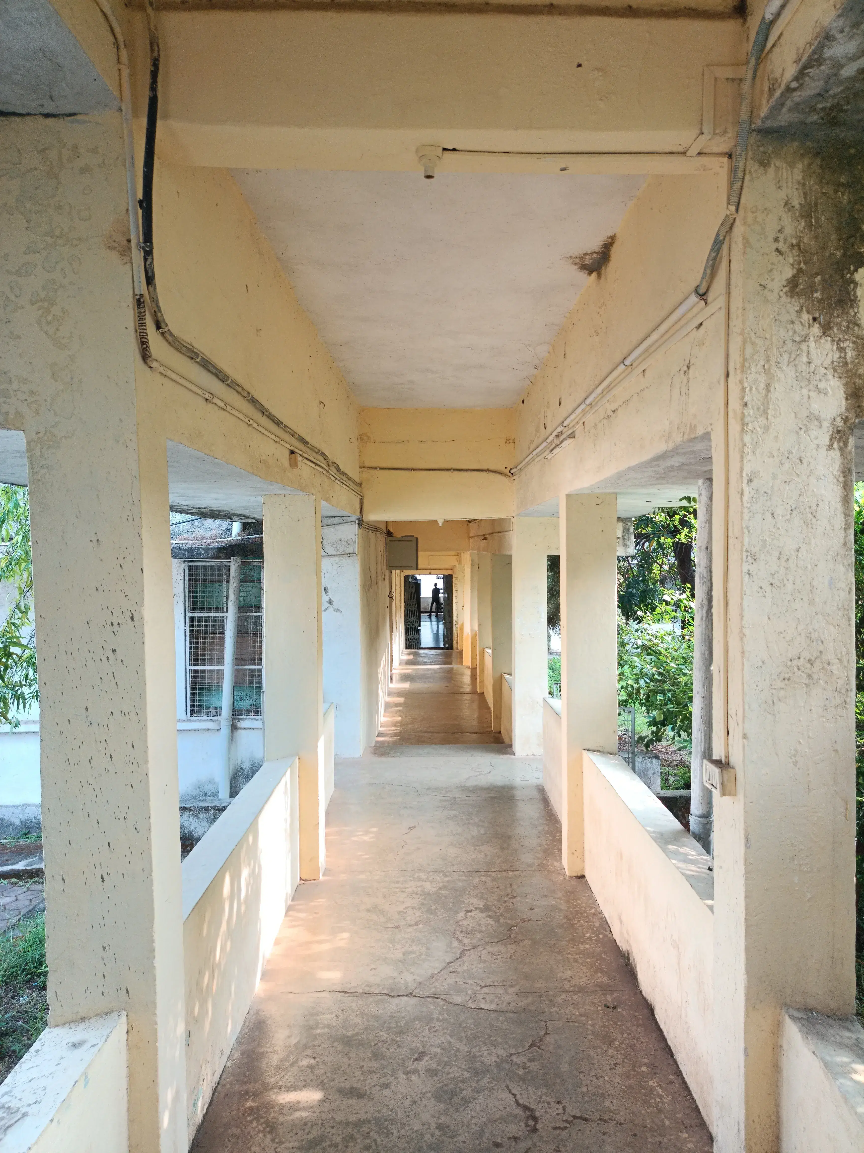 Dr. Hari singh Gour University Sagar Academic Building photo 27