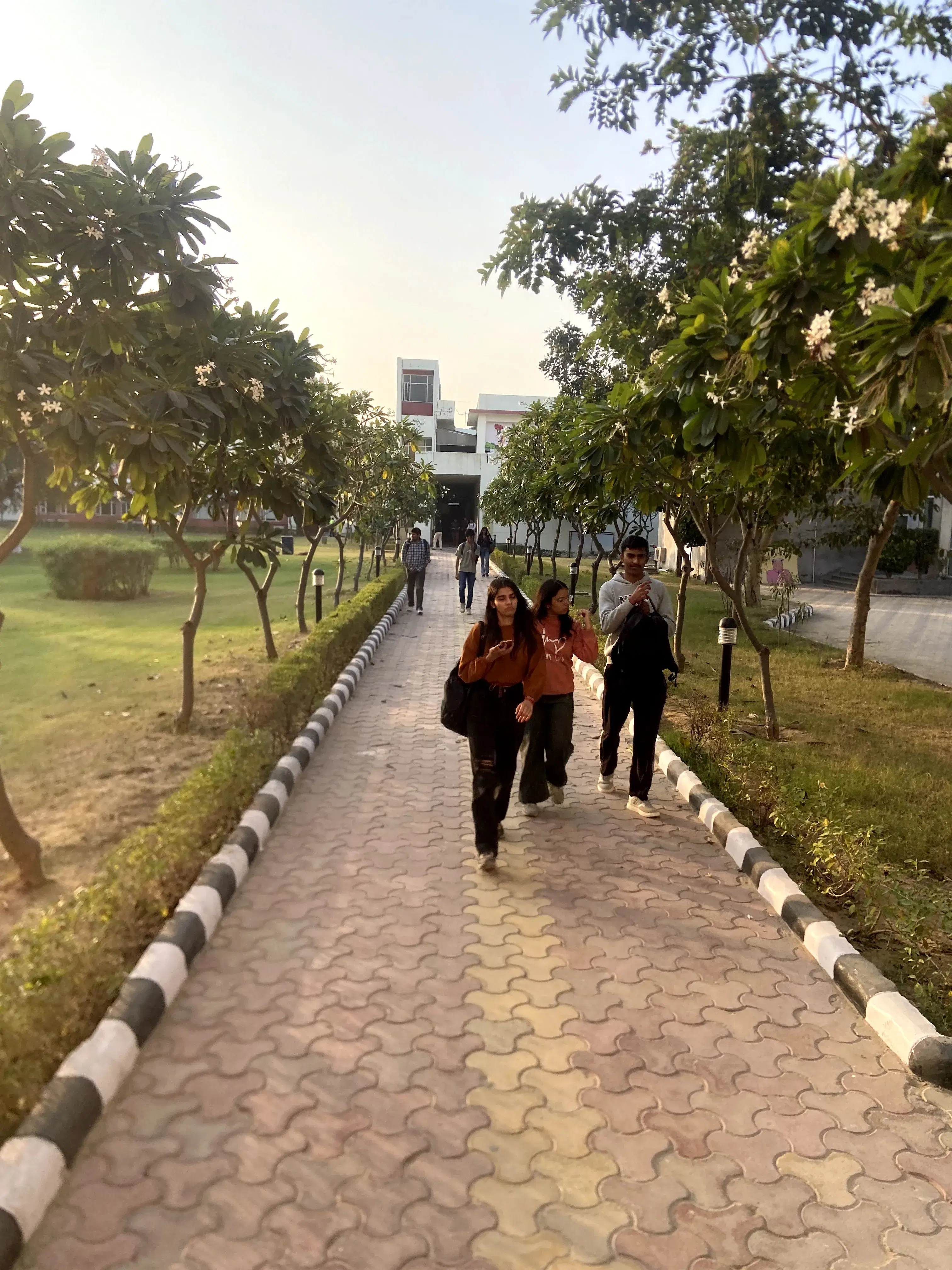 JK Lakshmipat University Jaipur Campus photo 99