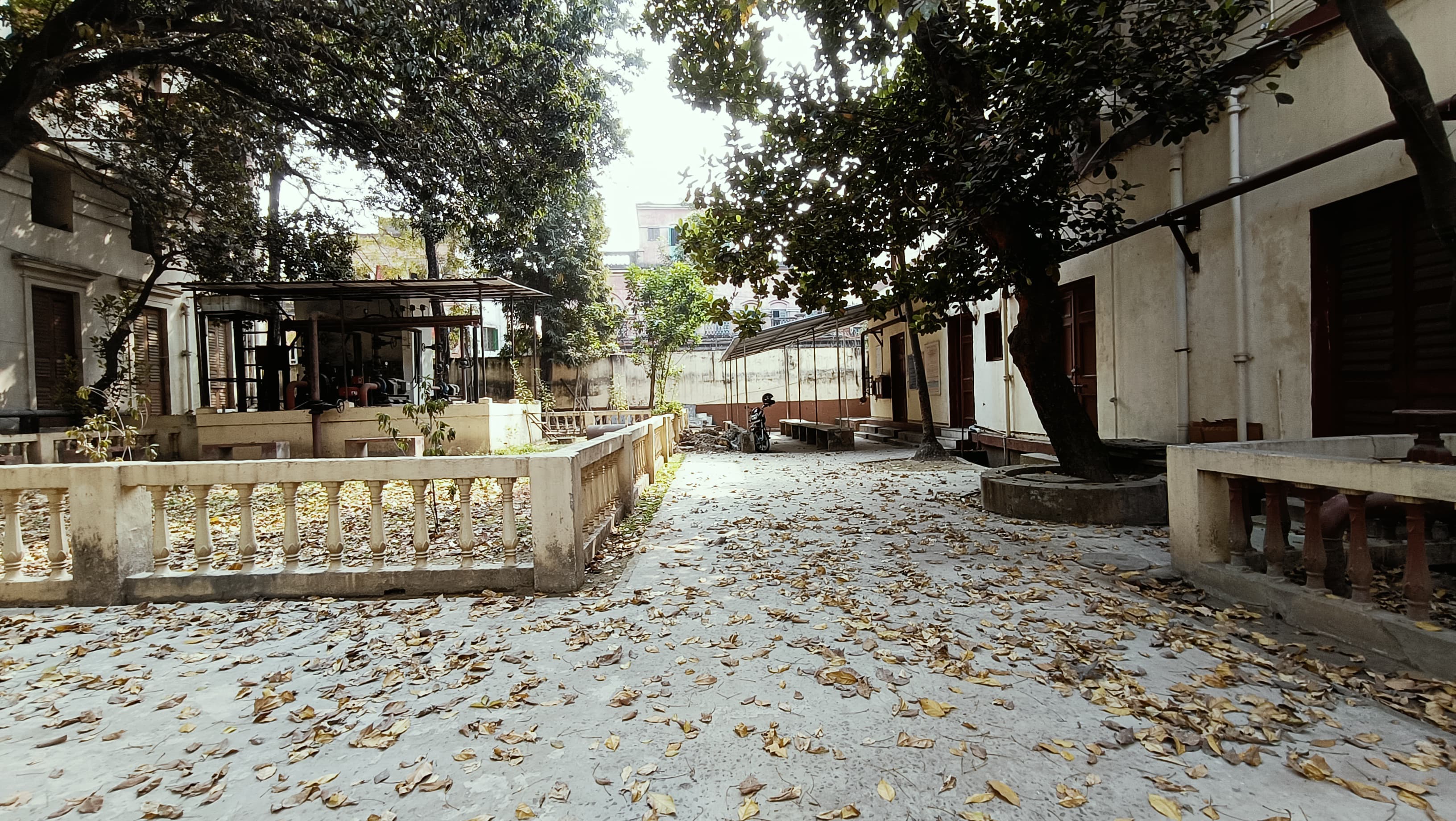 Scottish Church College Kolkata Campus photo 9