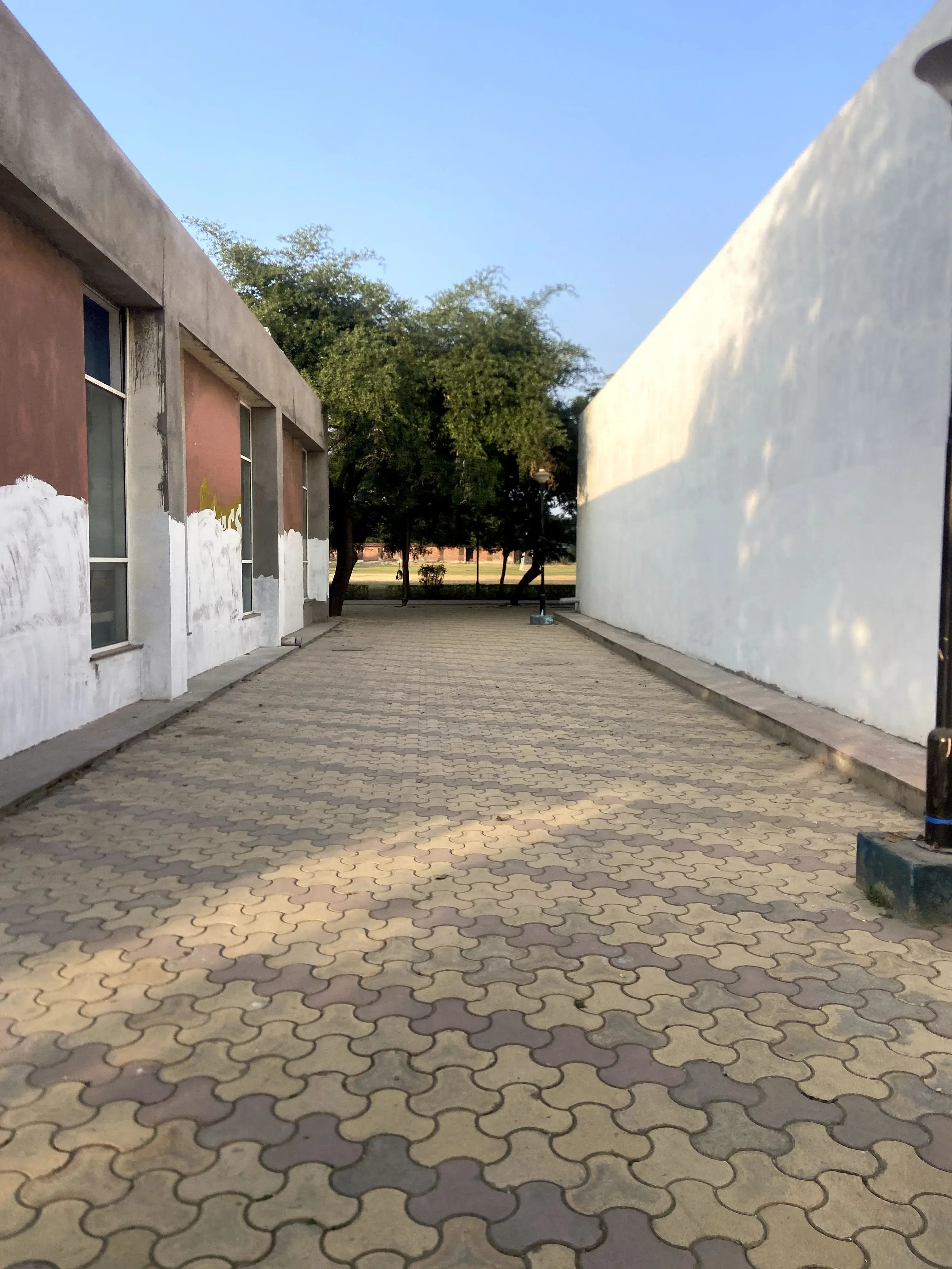 JK Lakshmipat University Jaipur Campus photo 109