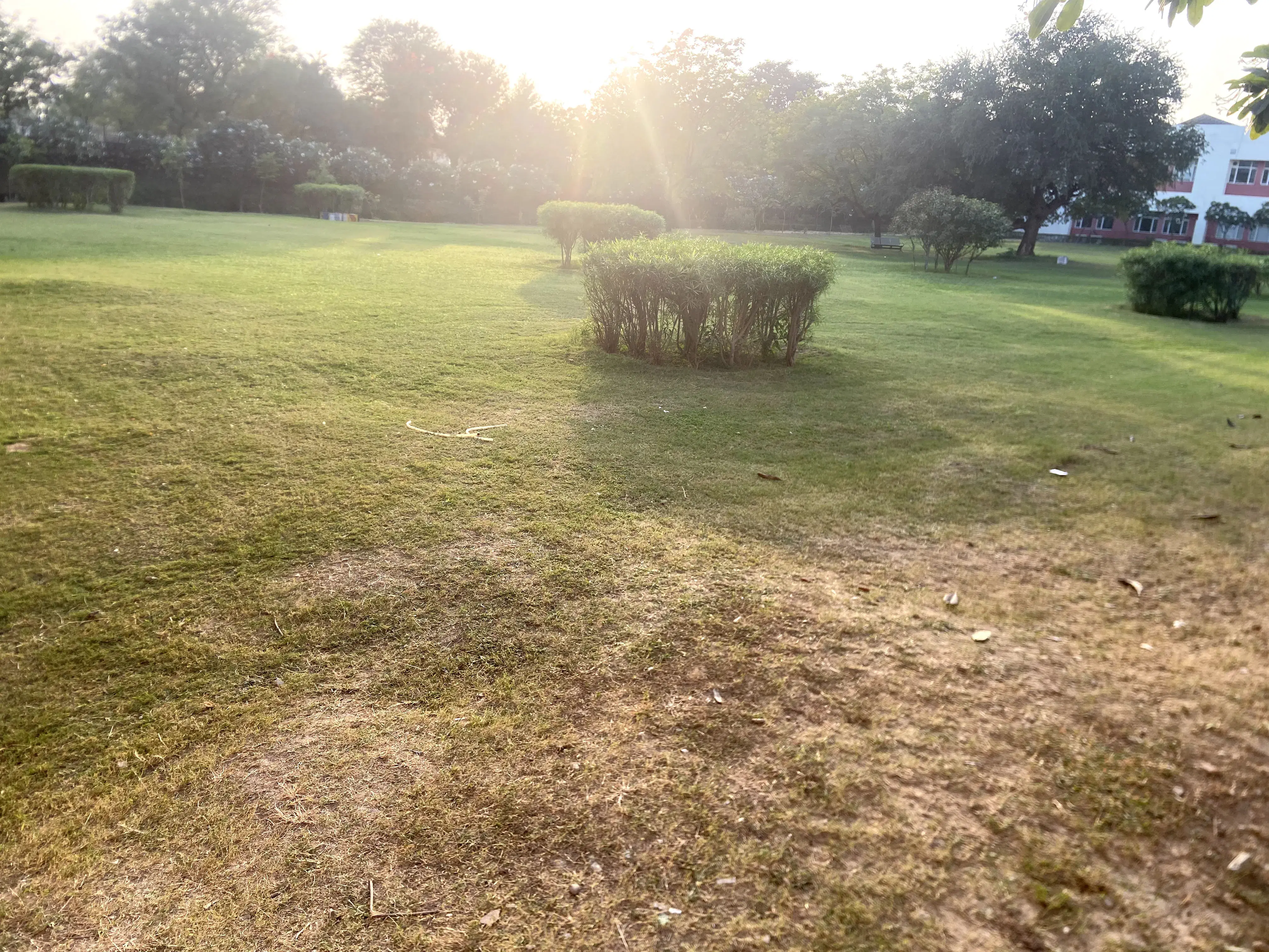 JK Lakshmipat University Jaipur Campus photo 110