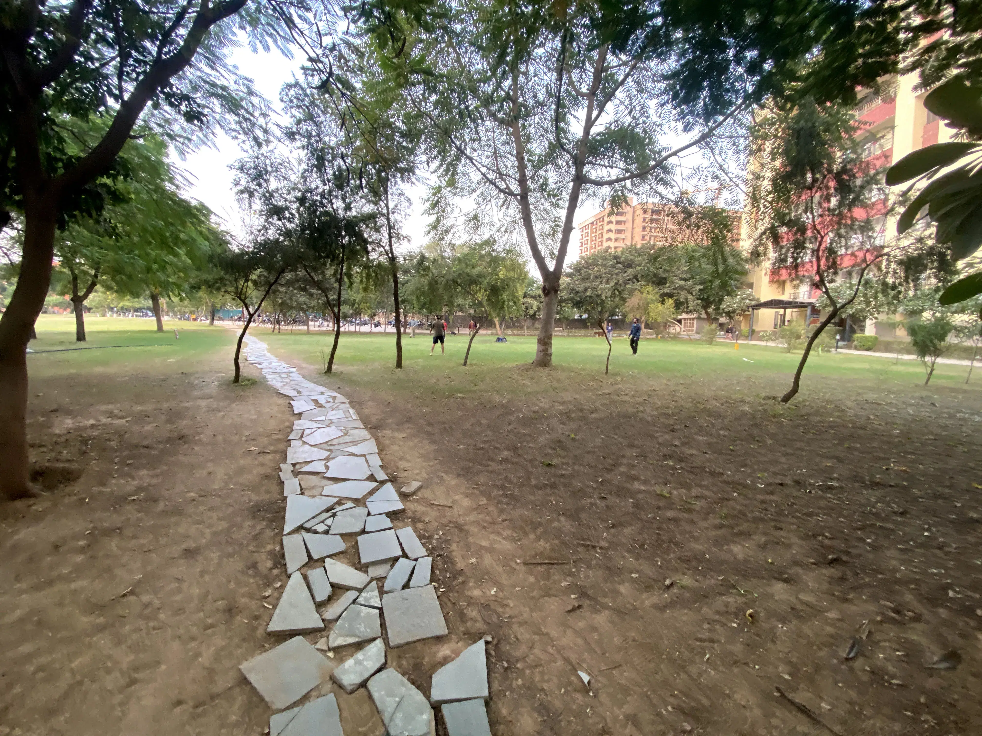 JK Lakshmipat University Jaipur Campus photo 111