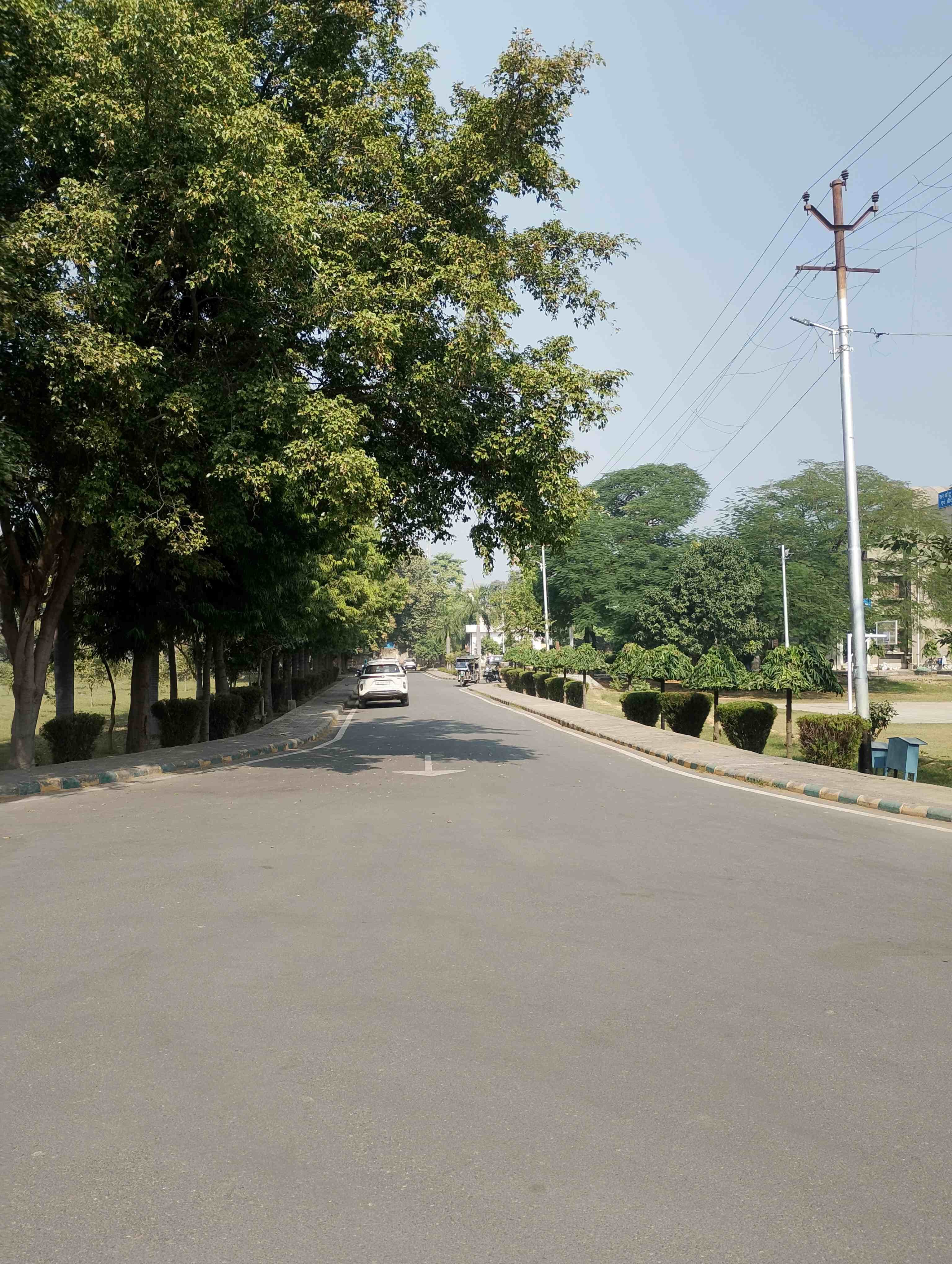 CCSU Campus photo 15