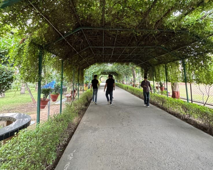 Chitkara University (Chandigarh) Campus photo 8