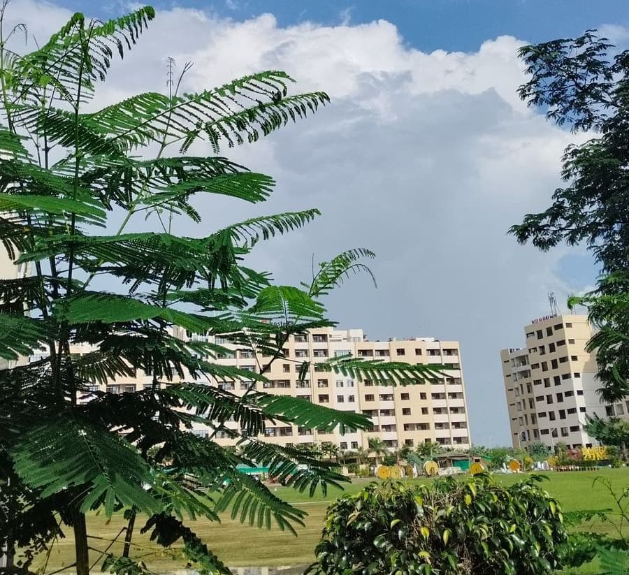 Chitkara University (Chandigarh) Sports and Ground photo 3