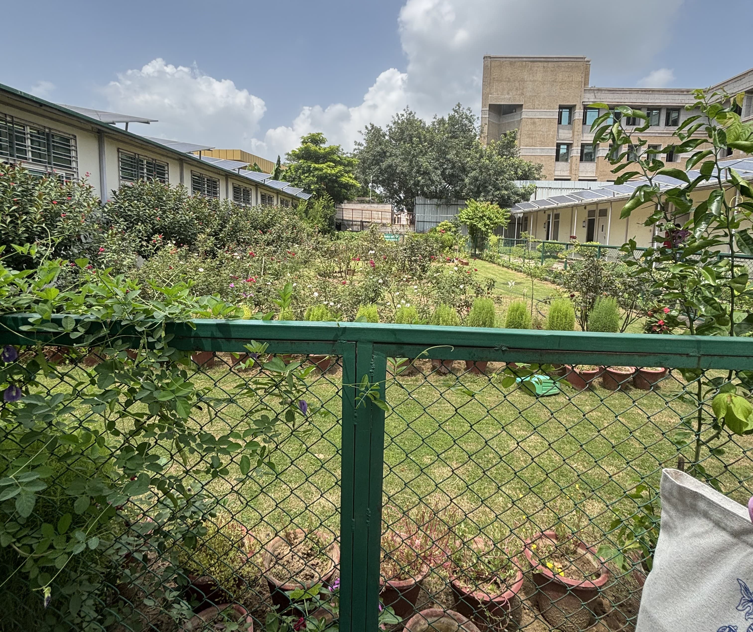 Ramanujan College Campus photo 7