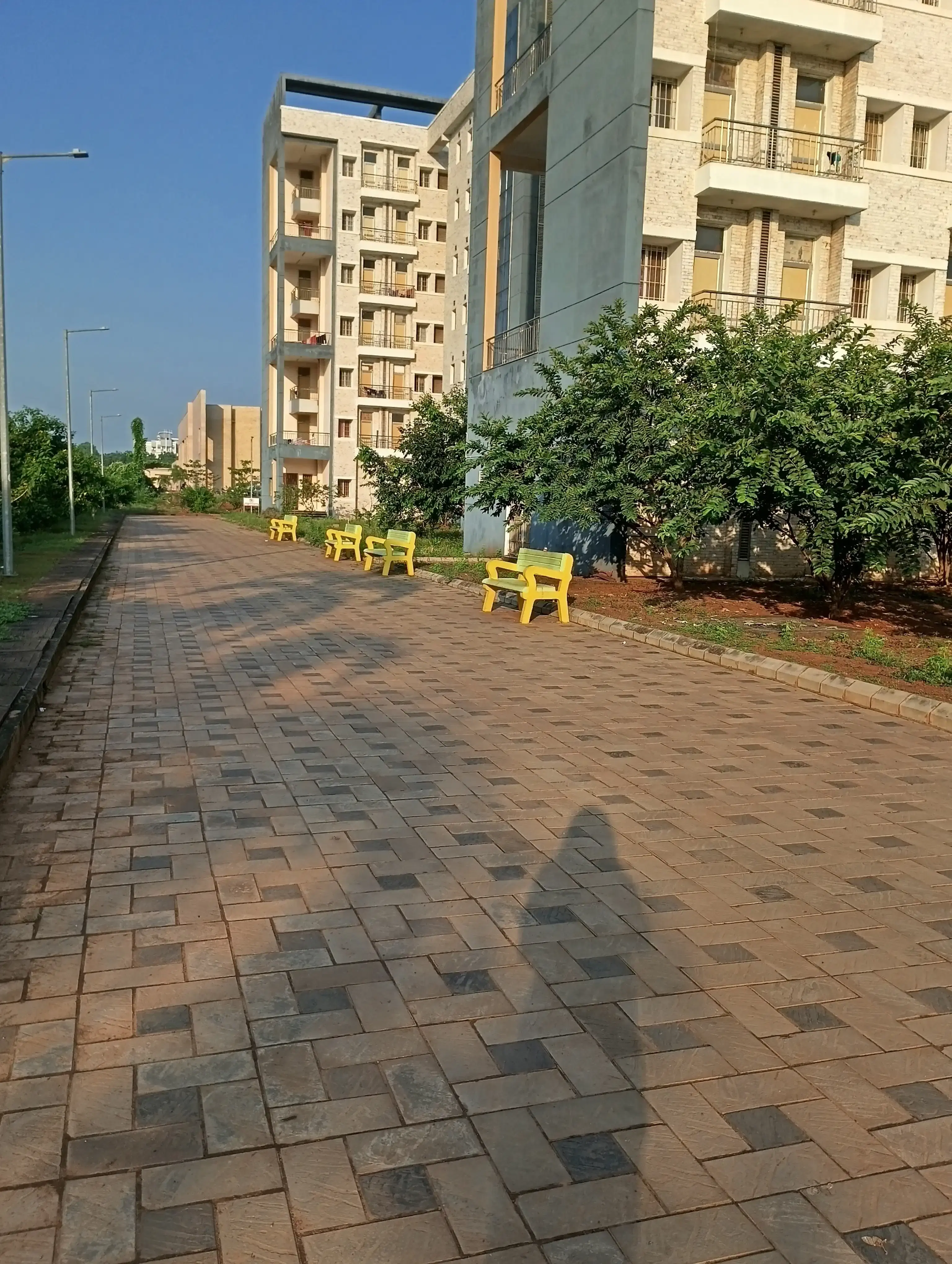 IIT Bhubaneswar Campus photo 18