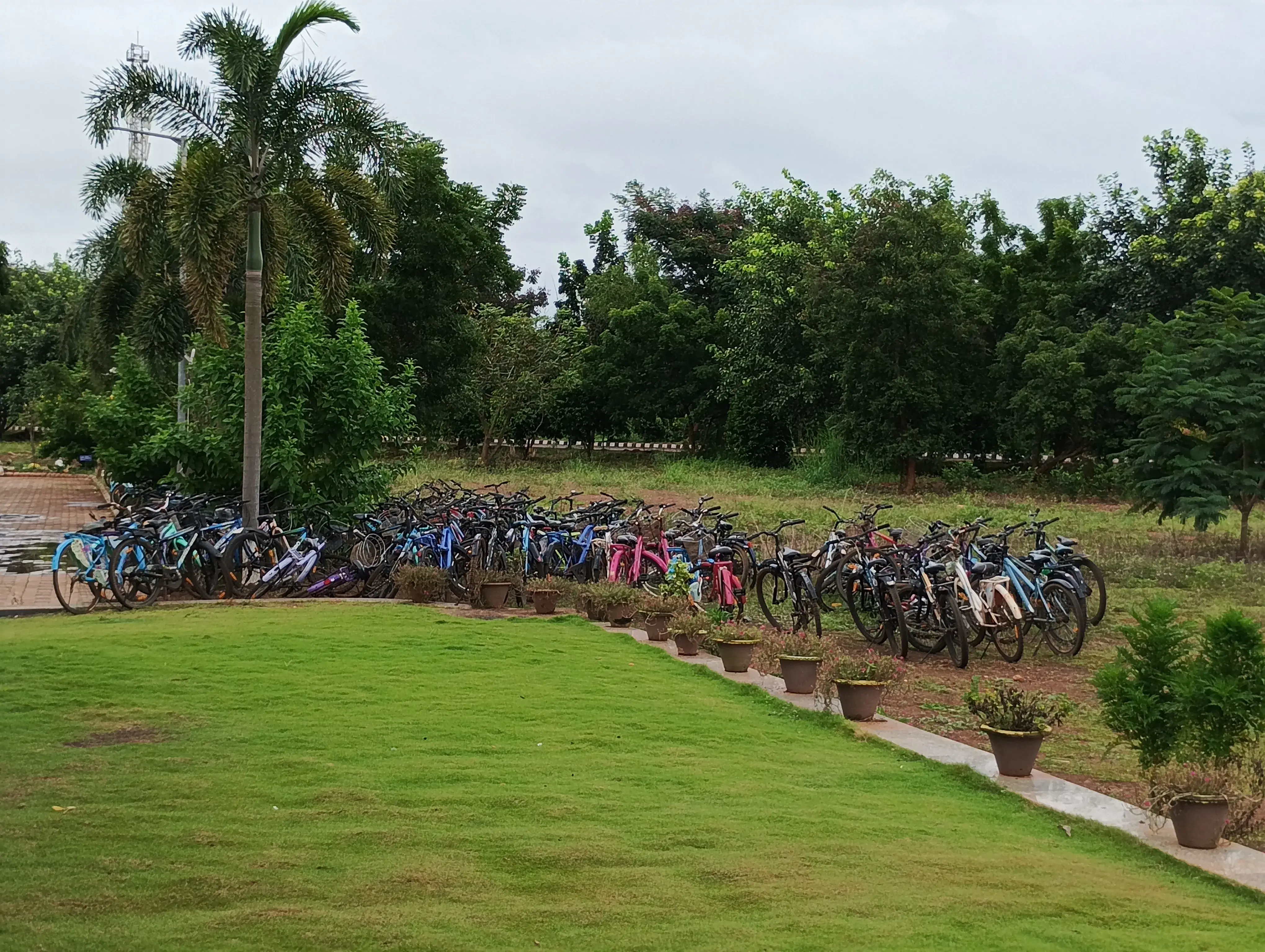 IIT Bhubaneswar Academic Building photo 17