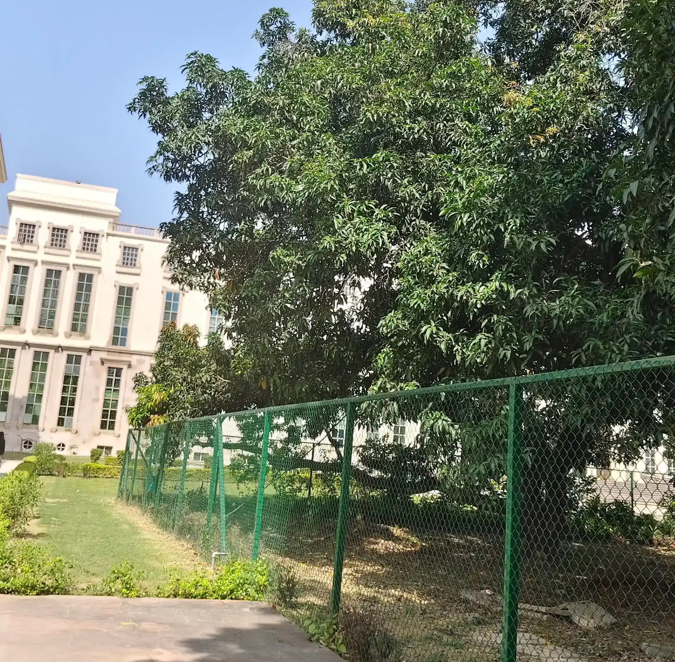 Amity University Lucknow Campus photo 9