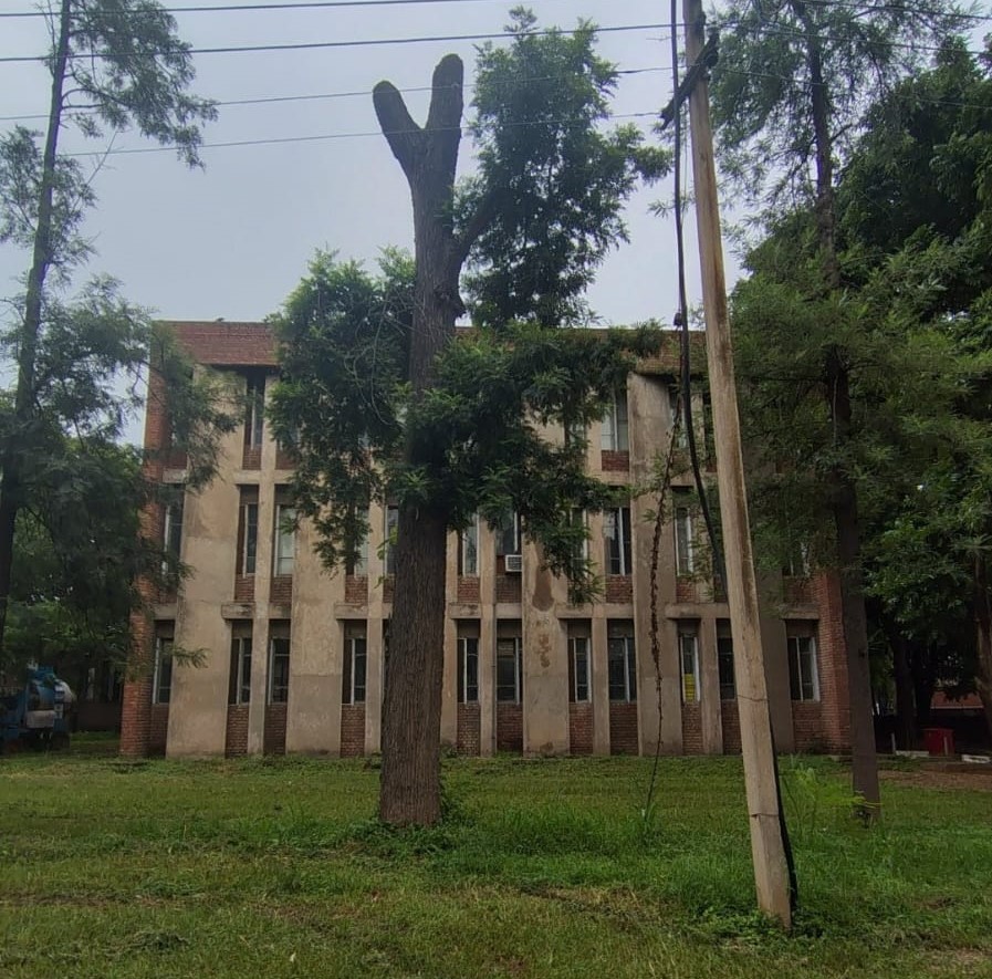 PEC Chandigarh Campus photo 11