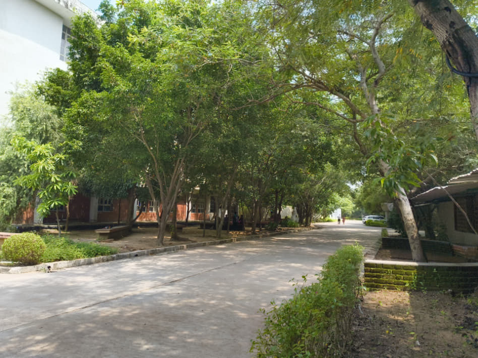 ITM SLS Baroda University College campus photo 38