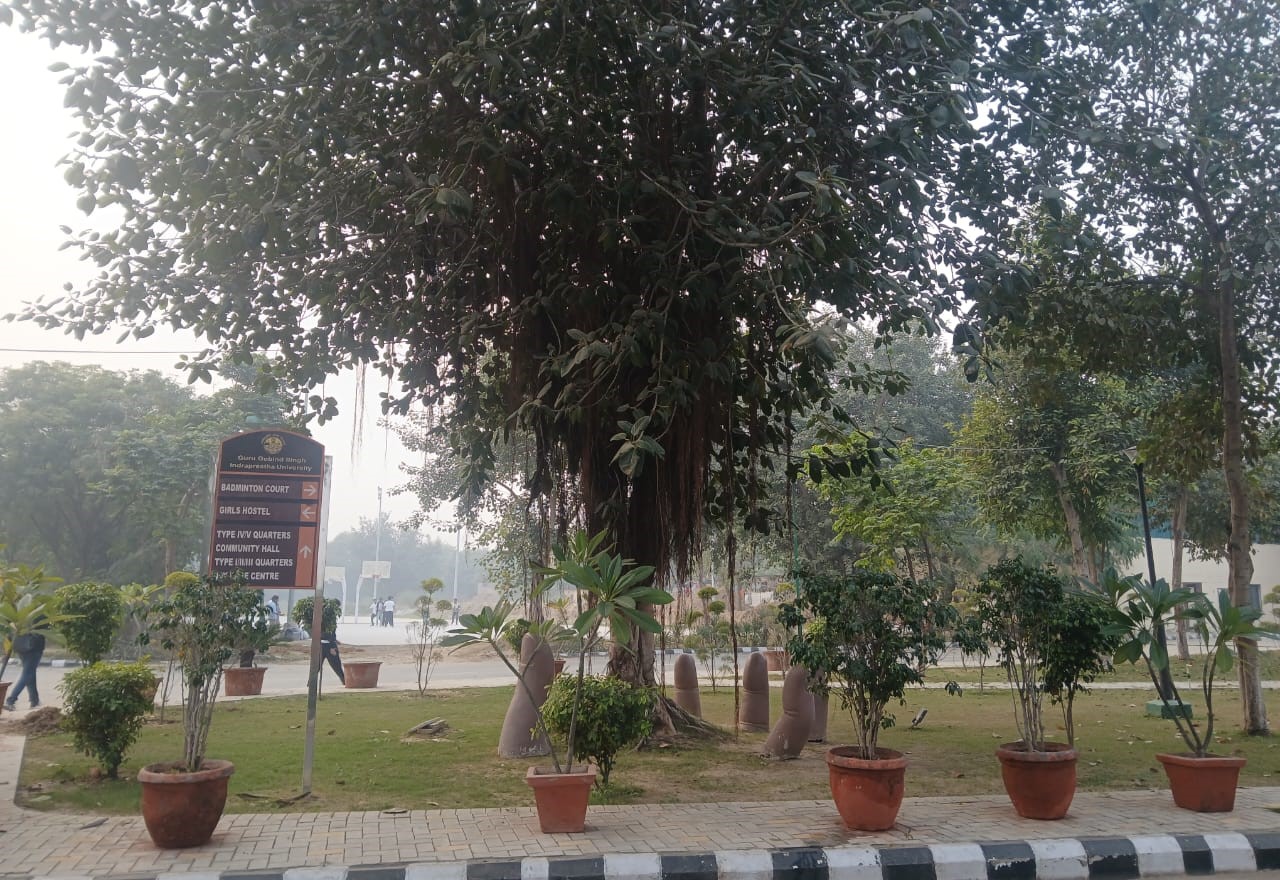 GGSIPU Campus photo 16