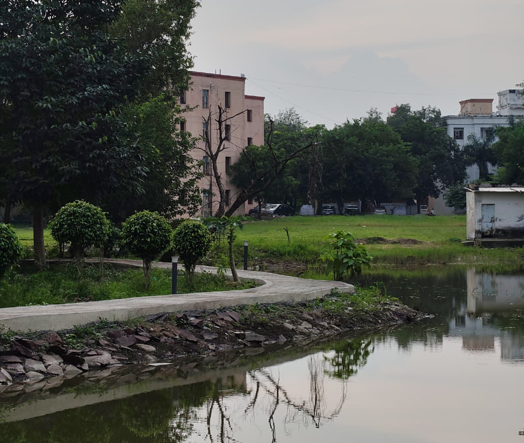 People's University Bhopal Campus photo 5