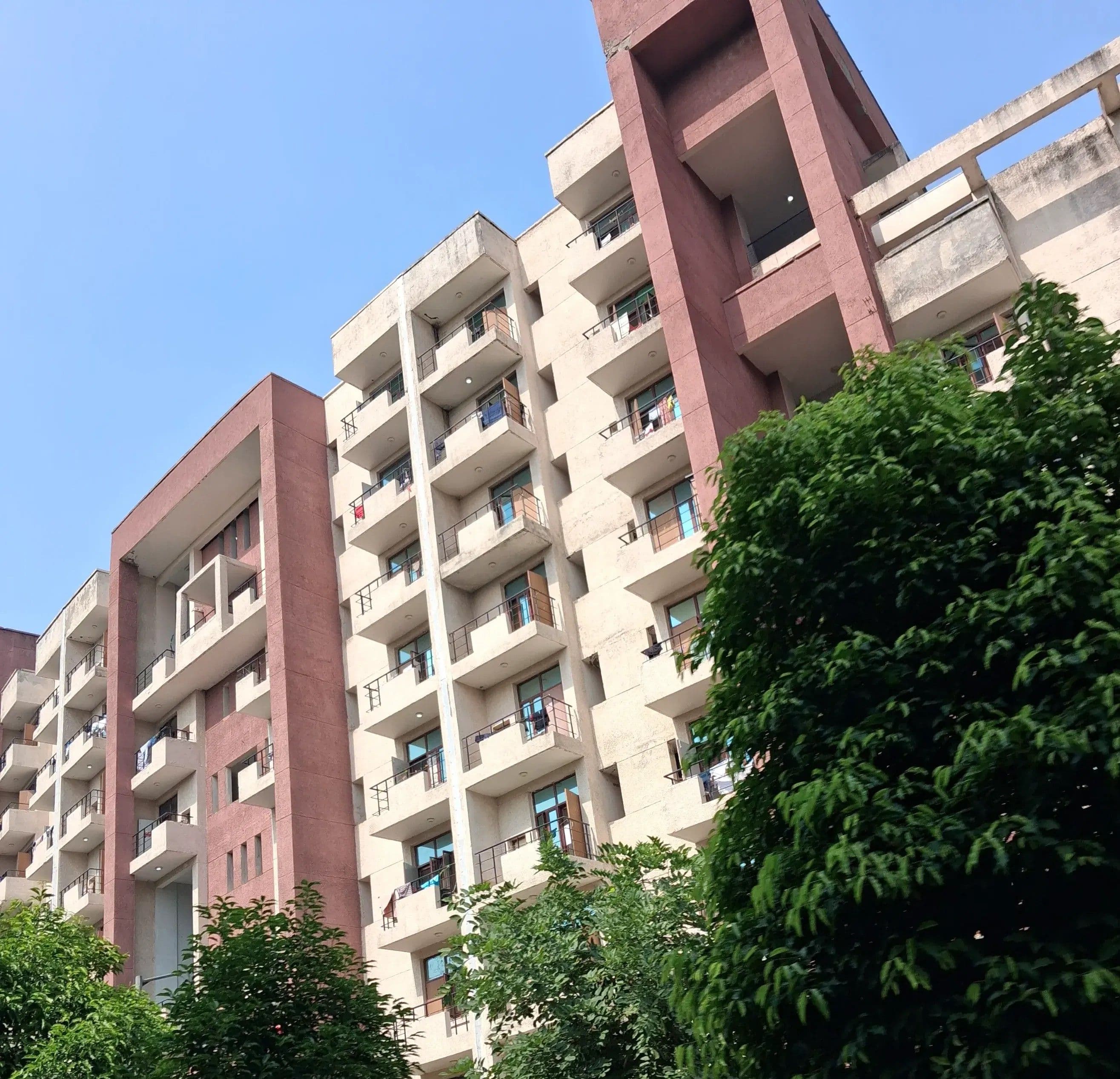 I.K. Gujral Punjab Technical University Jalandhar Campus photo 10