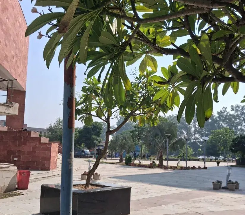 I.K. Gujral Punjab Technical University Jalandhar Campus photo 18