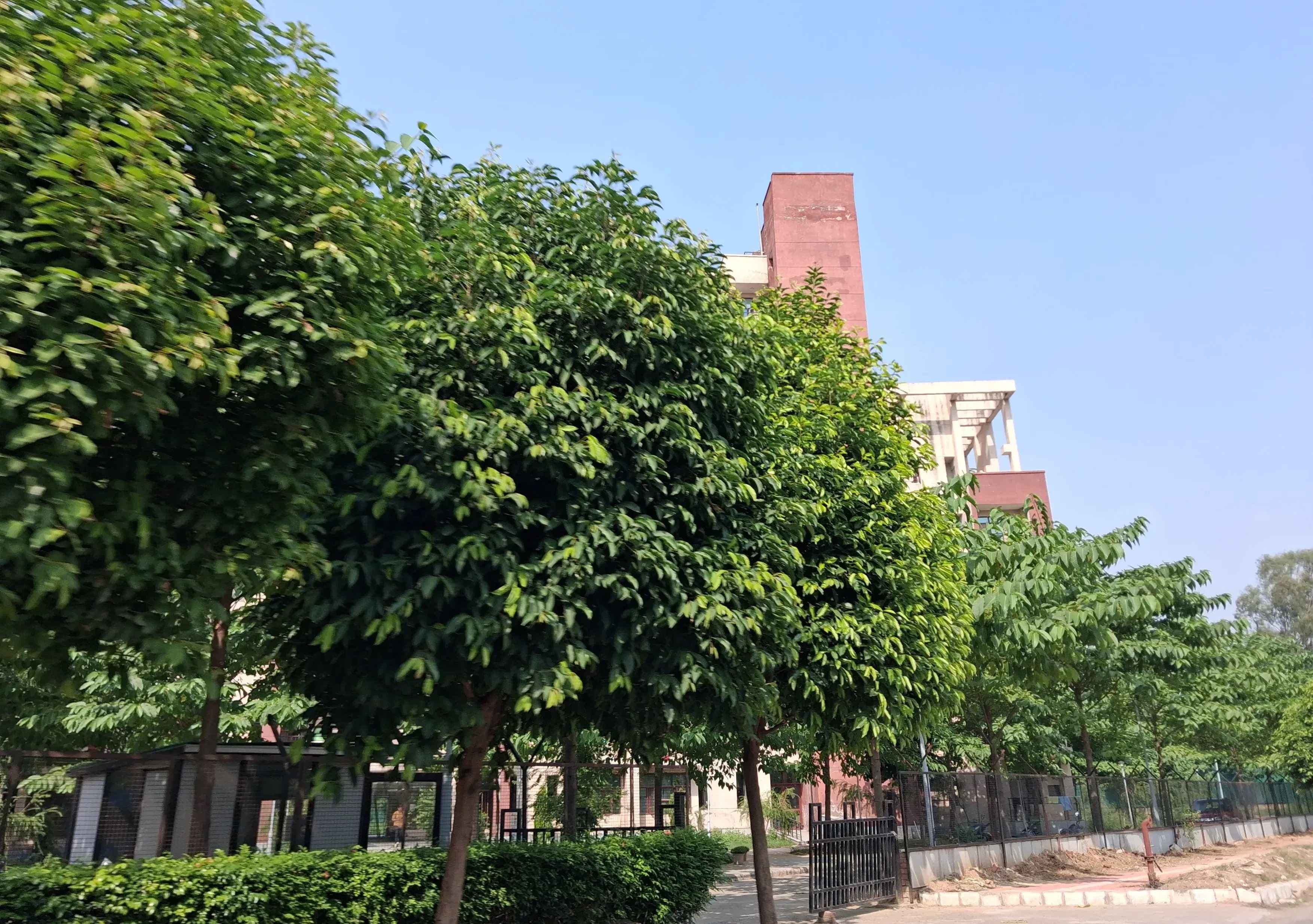 I.K. Gujral Punjab Technical University Jalandhar Campus photo 19