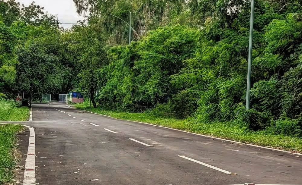 BU Bhopal Campus photo 1