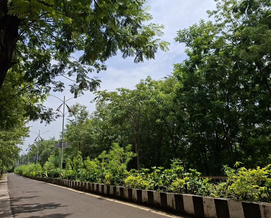 BU Bhopal Campus photo 10