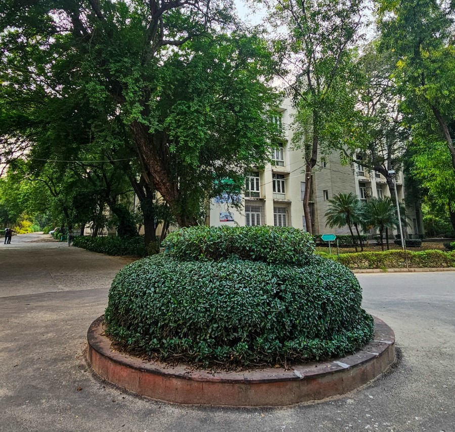Jamia Millia Islamia University Campus photo 13